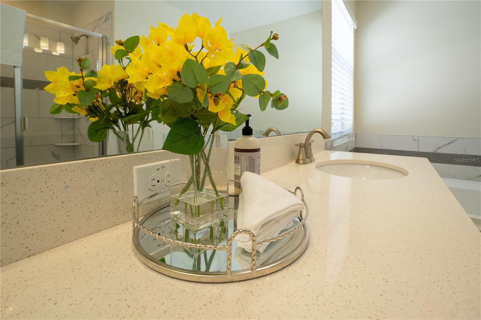 1577 MULLIGAN BLVD, DAVENPORT, FL, 33896