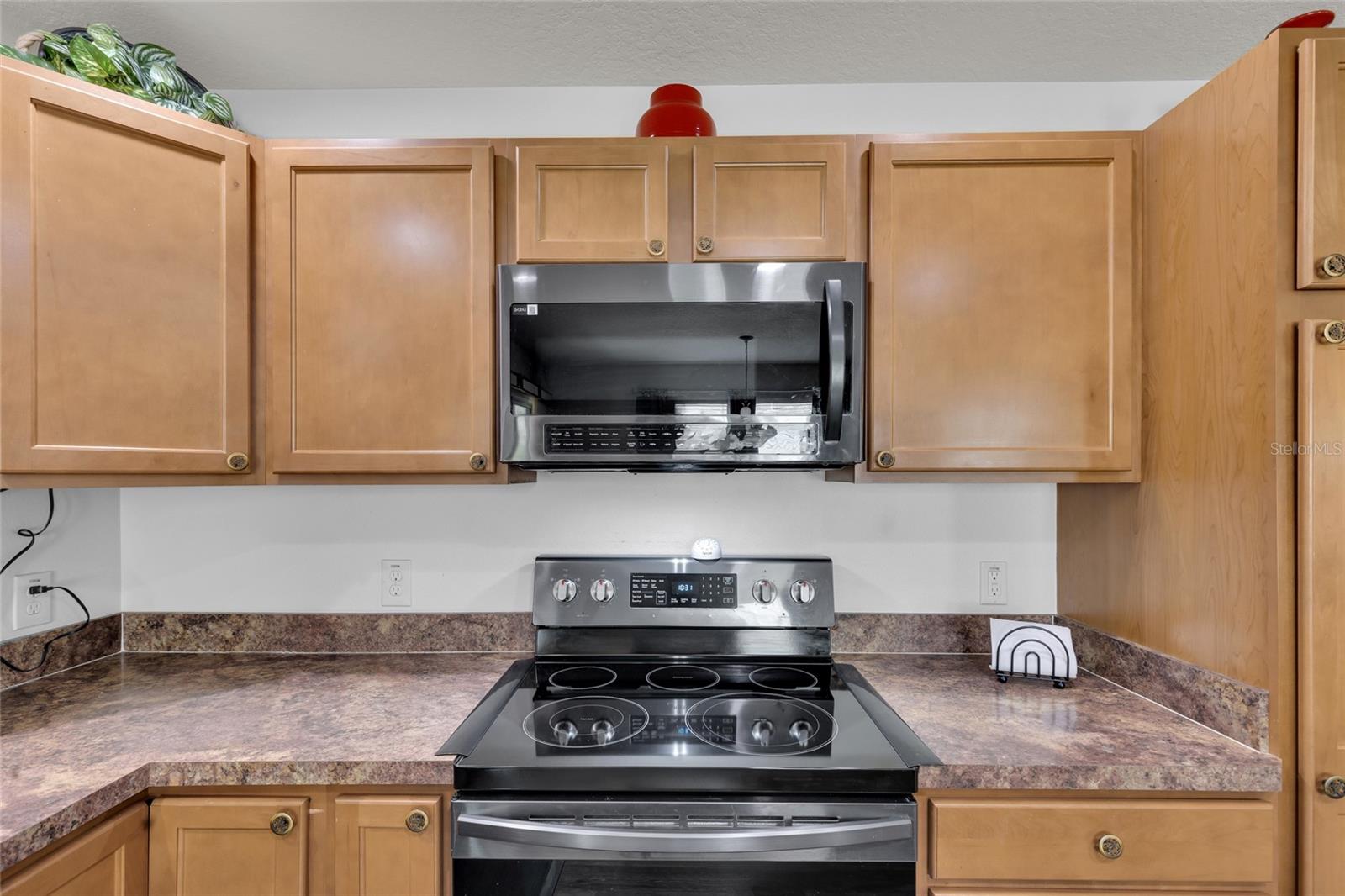 3203 ISLAWILD WAY, THE VILLAGES, FL, 32163