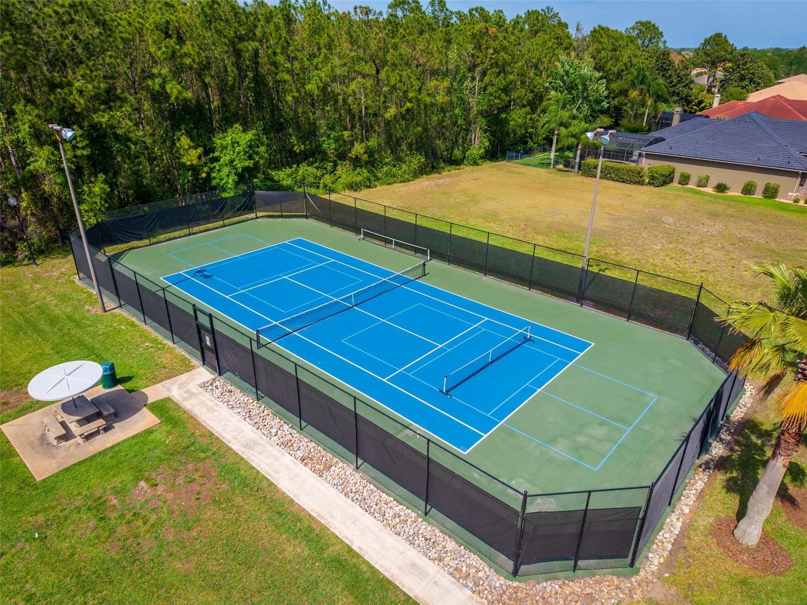 2029 STEFANO CT, MOUNT DORA, FL, 32757