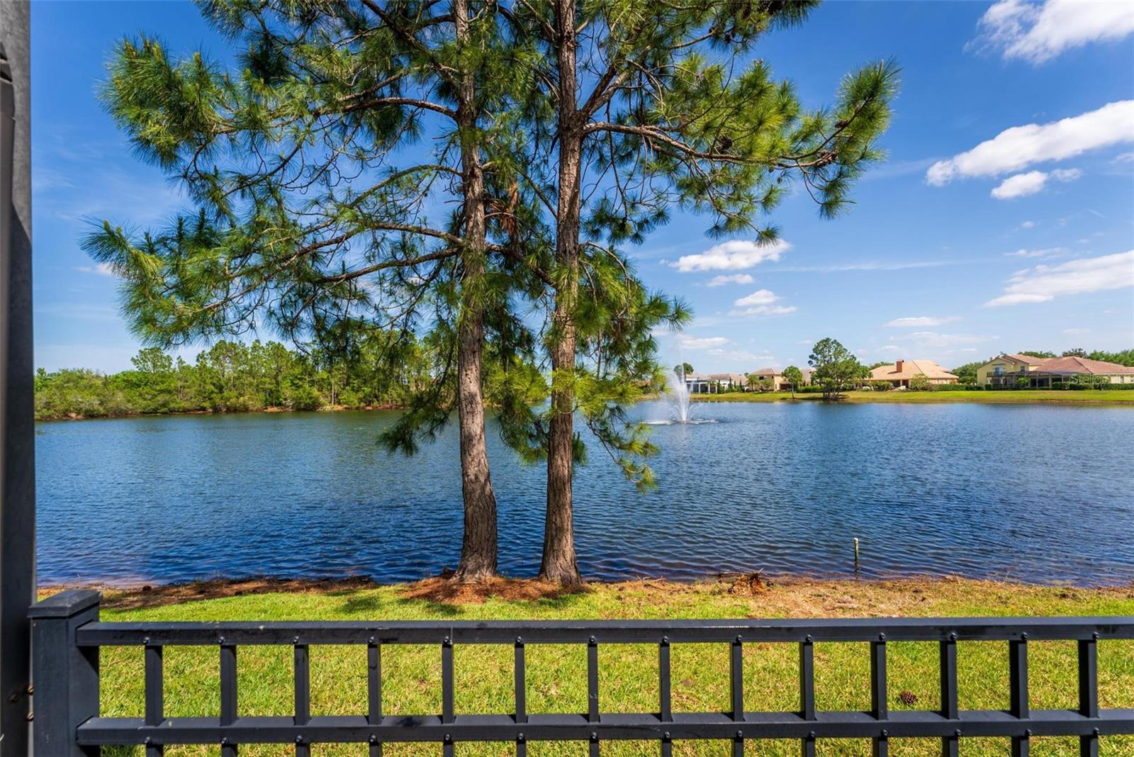 2029 STEFANO CT, MOUNT DORA, FL, 32757