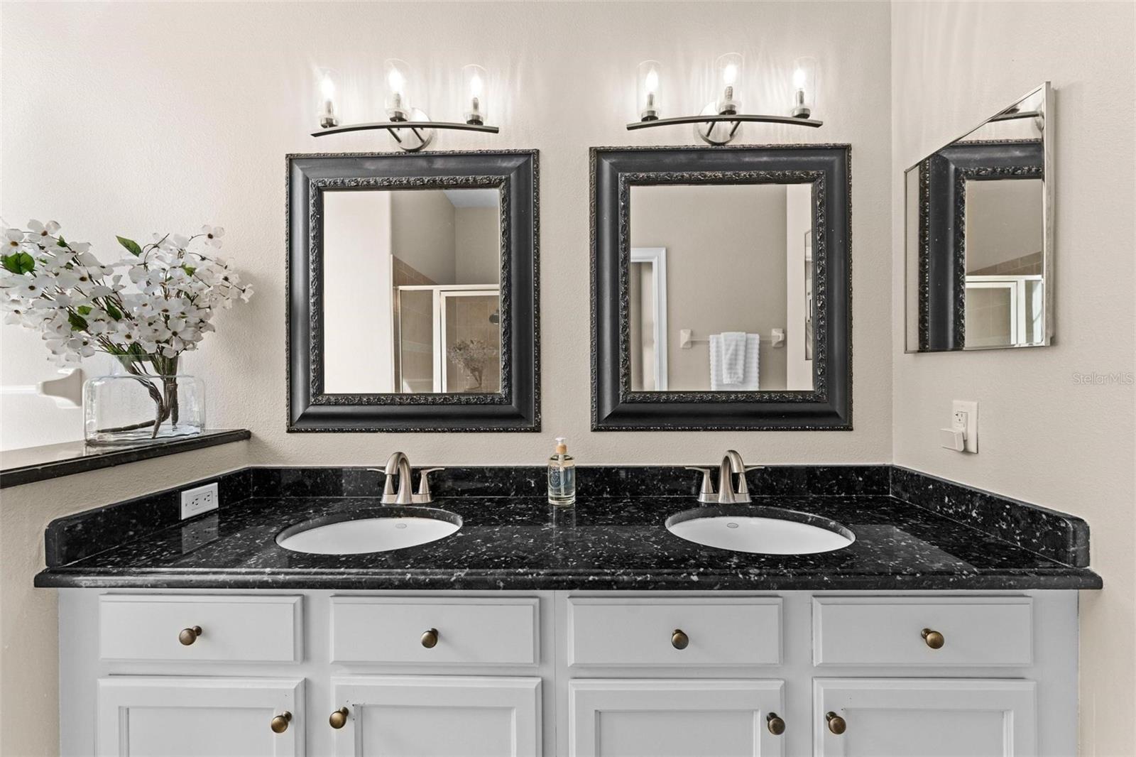 2029 STEFANO CT, MOUNT DORA, FL, 32757