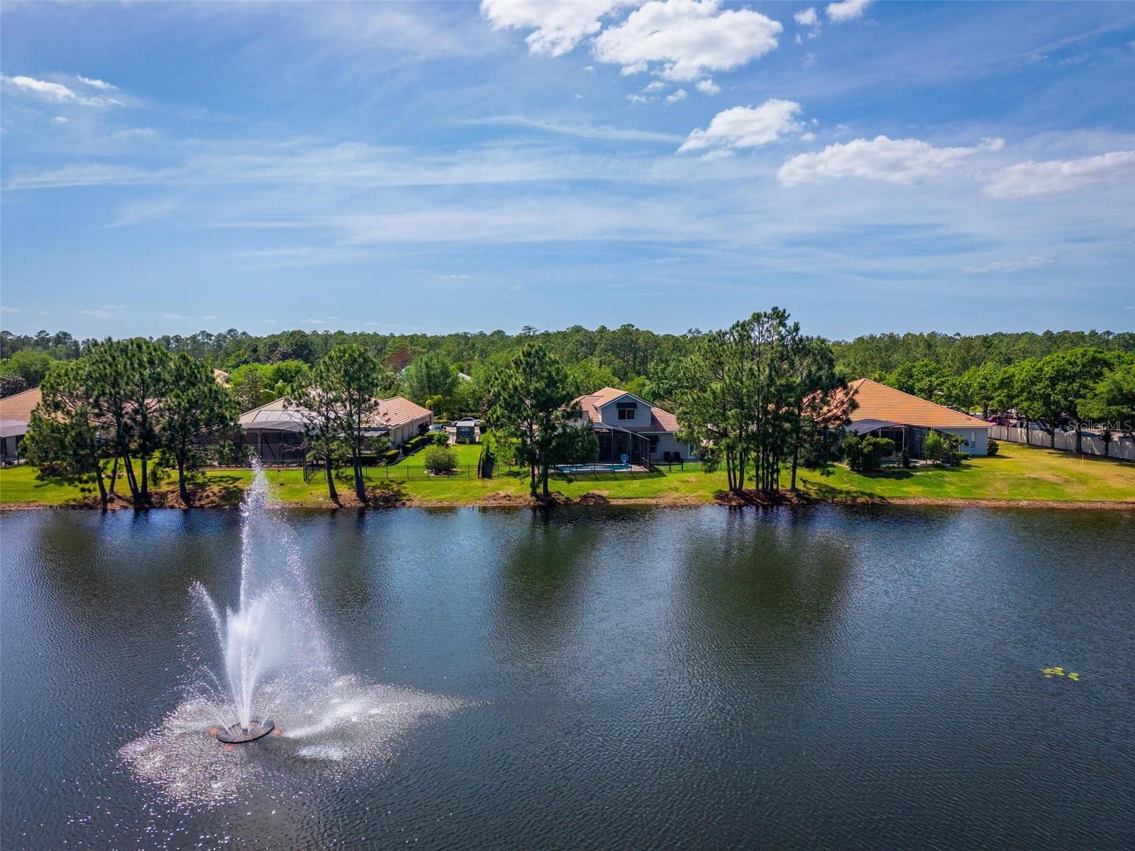 2029 STEFANO CT, MOUNT DORA, FL, 32757