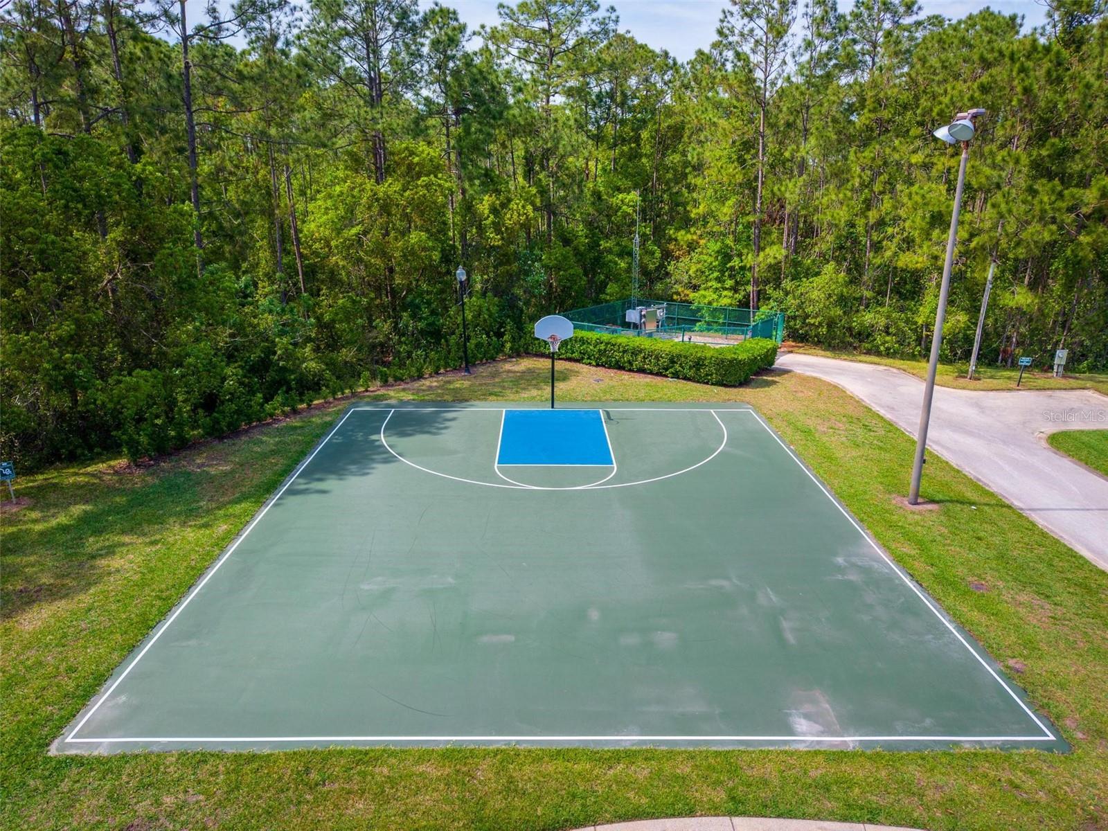 2029 STEFANO CT, MOUNT DORA, FL, 32757