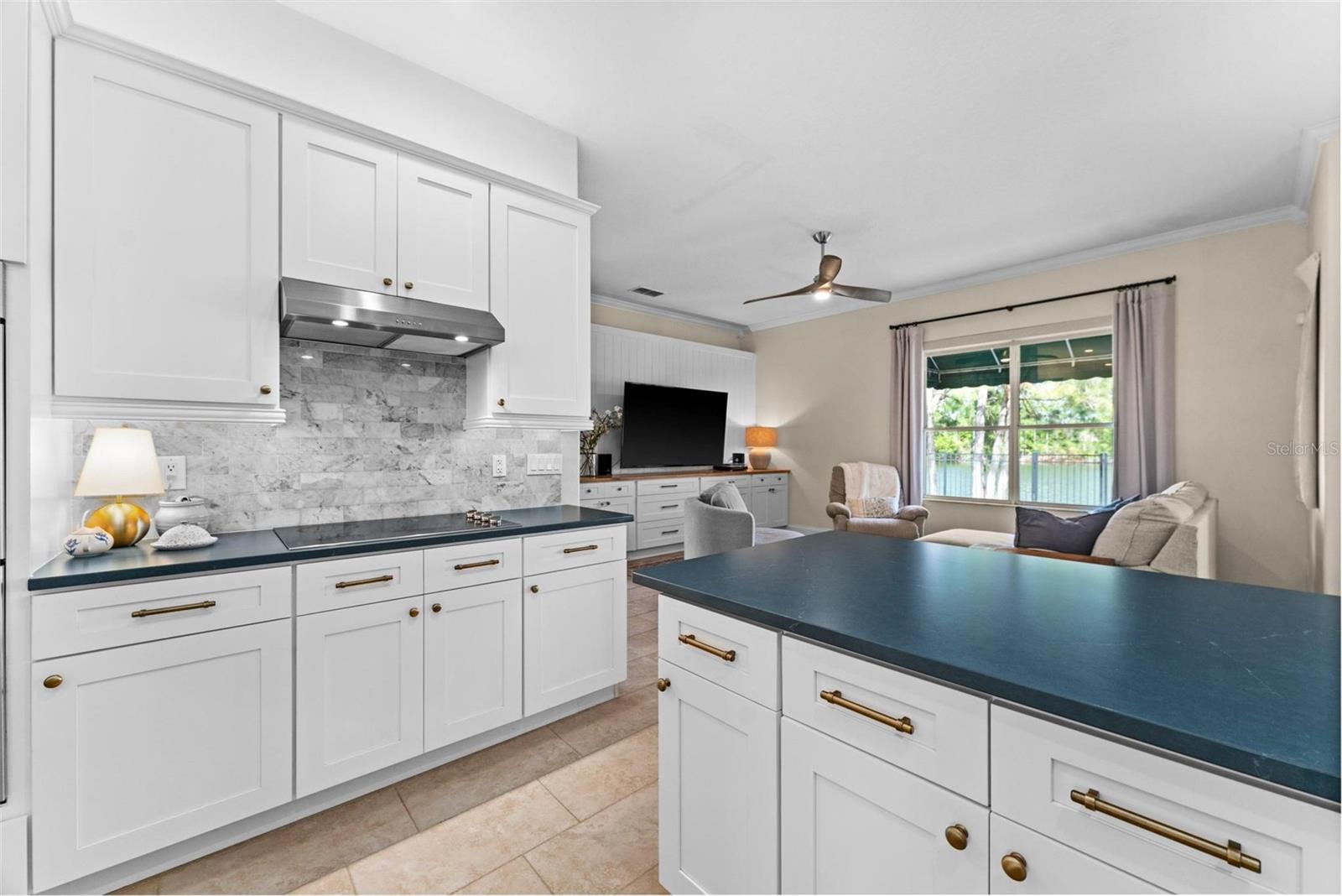 2029 STEFANO CT, MOUNT DORA, FL, 32757