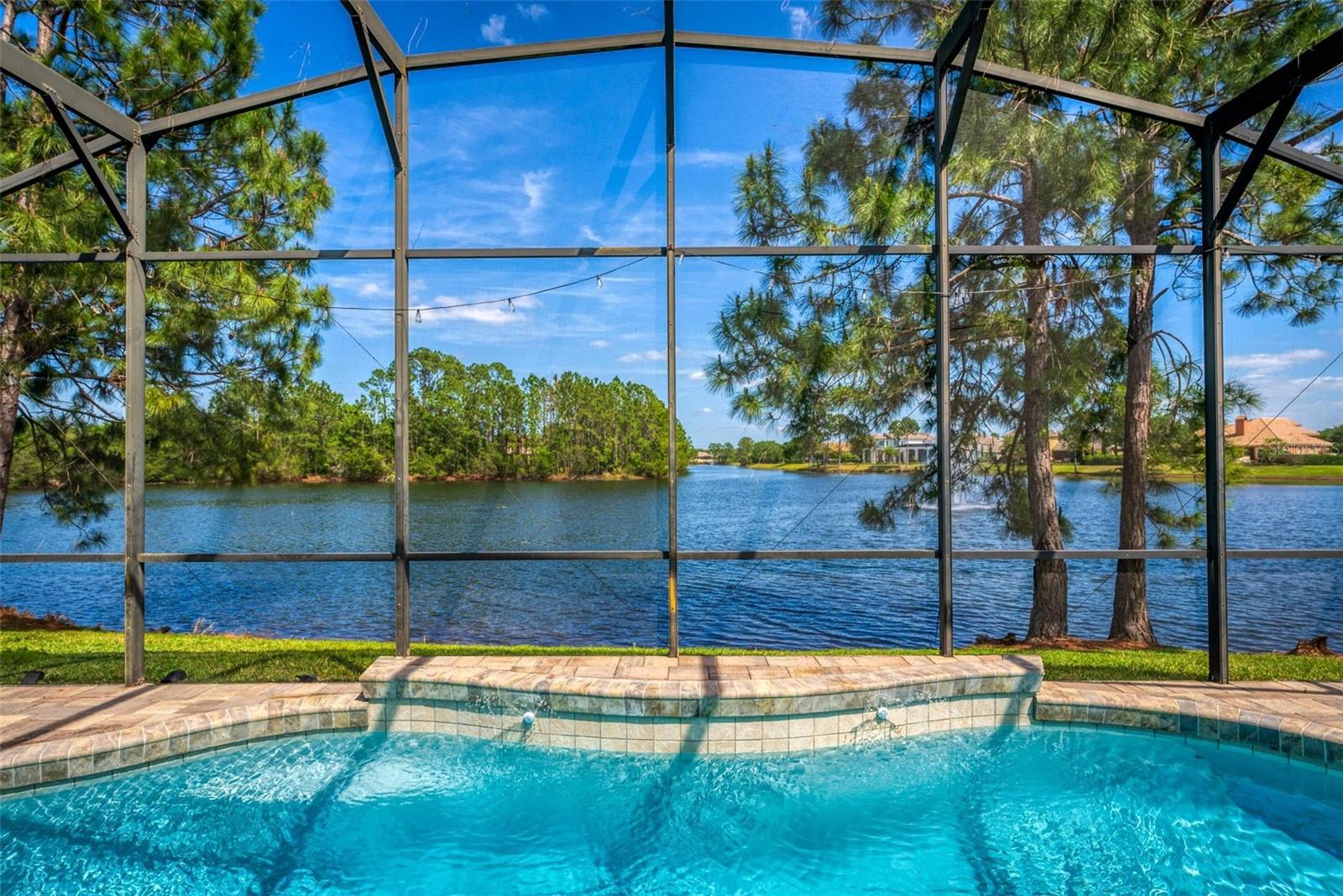 2029 STEFANO CT, MOUNT DORA, FL, 32757