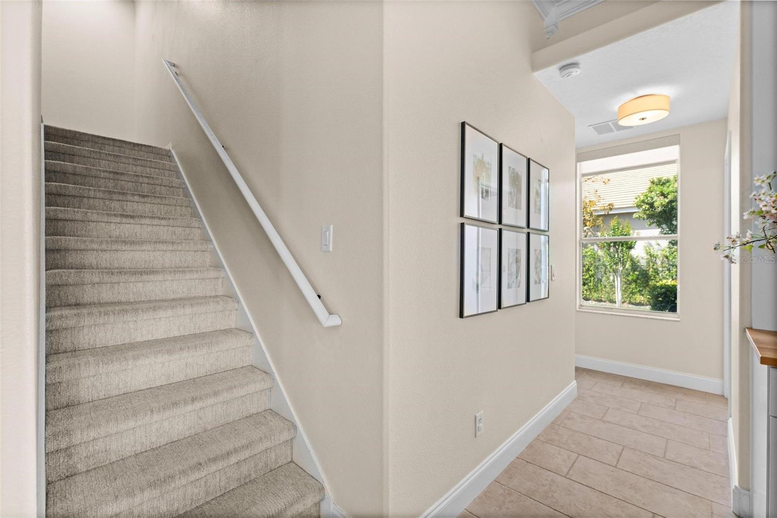 2029 STEFANO CT, MOUNT DORA, FL, 32757