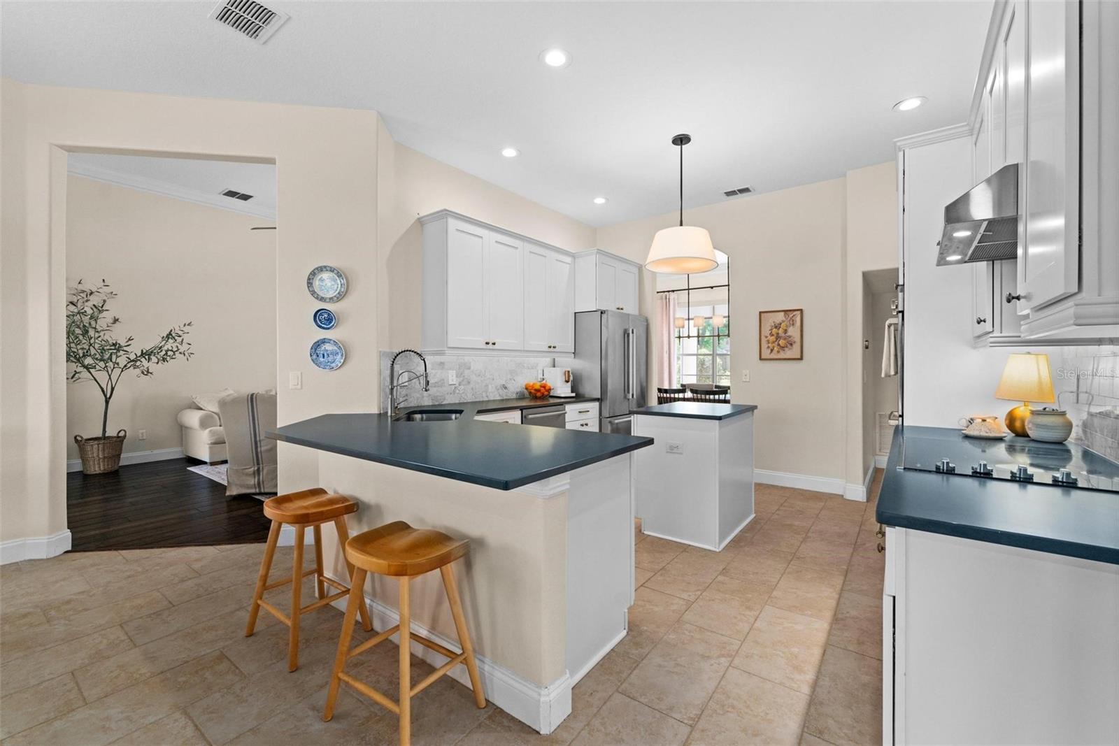 2029 STEFANO CT, MOUNT DORA, FL, 32757