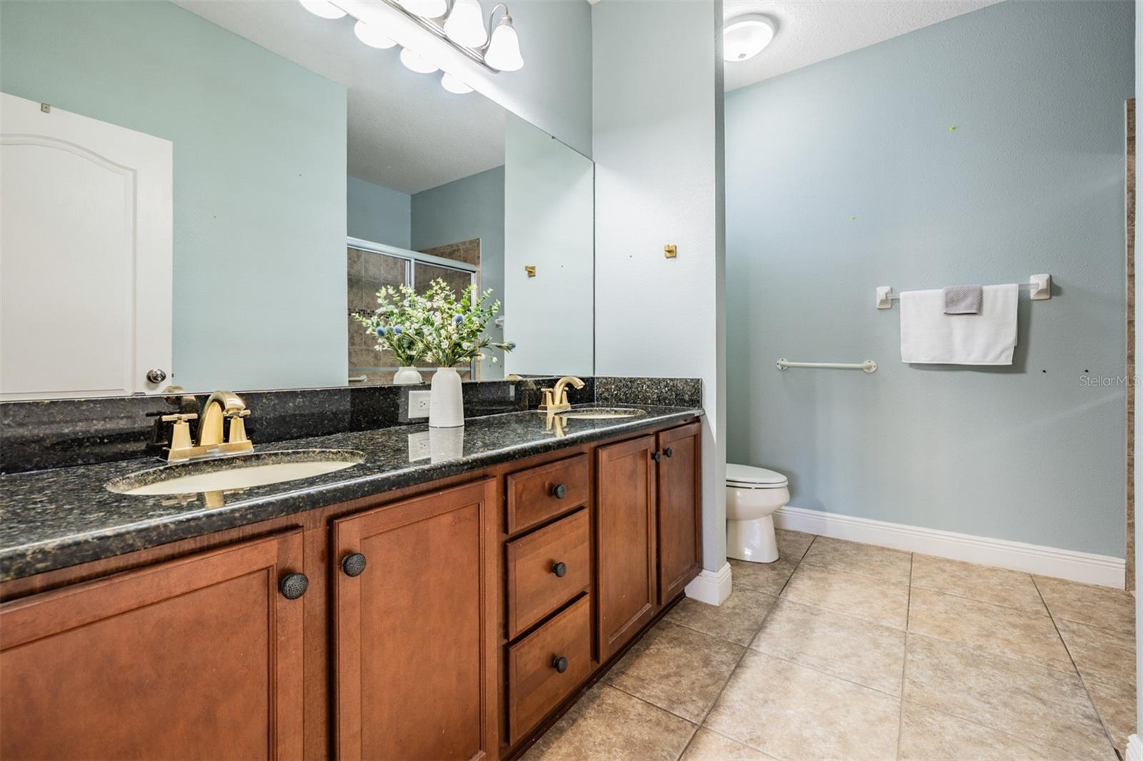 12107 RAMBLING STREAM DR, RIVERVIEW, FL, 33569