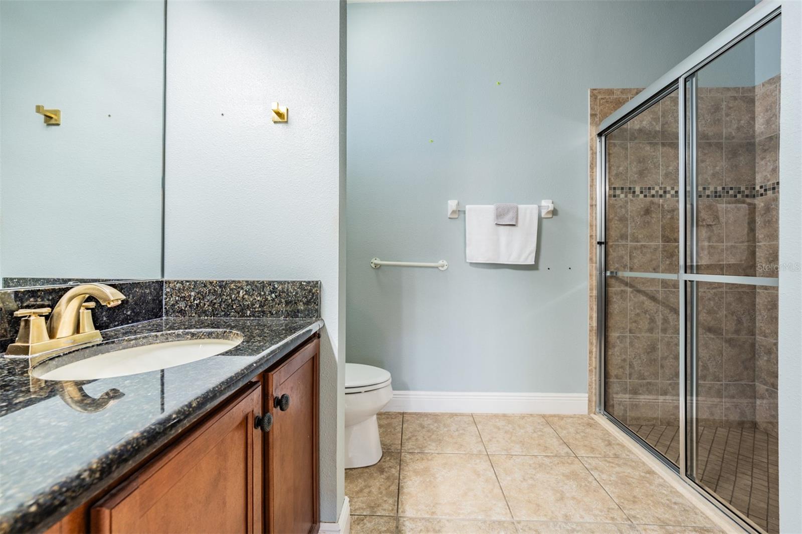 12107 RAMBLING STREAM DR, RIVERVIEW, FL, 33569