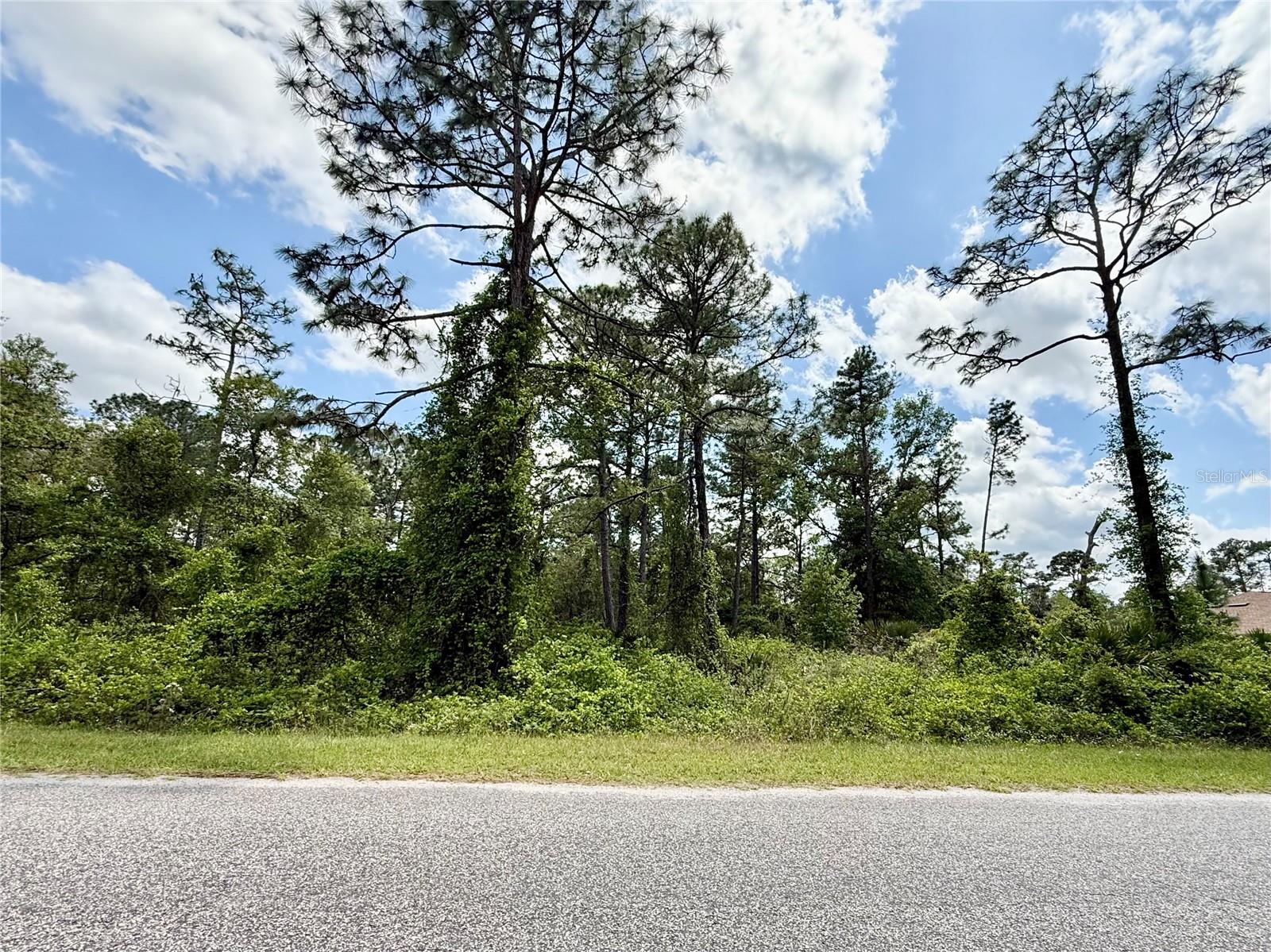 LOT 2 QUINCE AVE, EUSTIS, FL, 32736