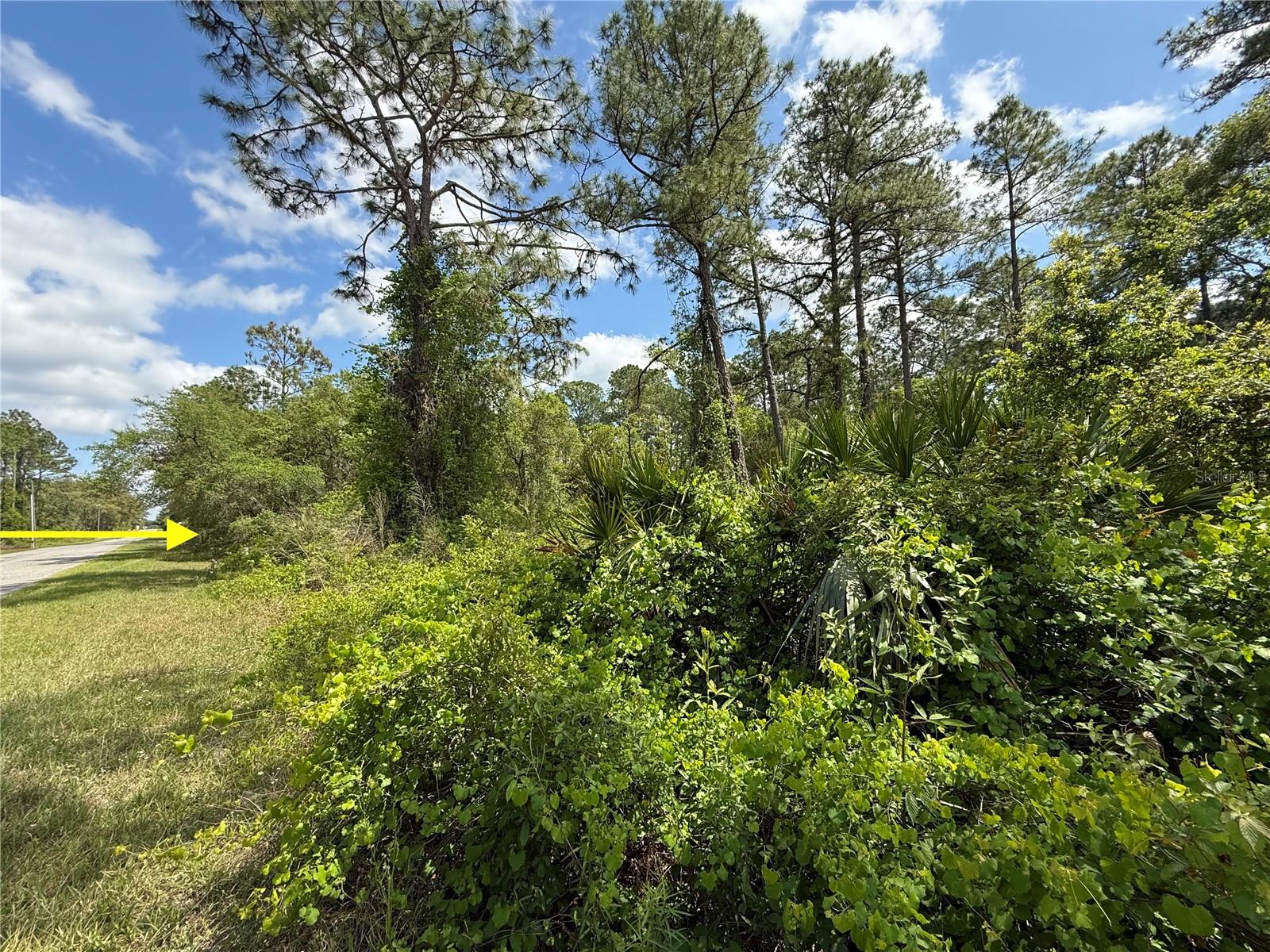 LOT 2 QUINCE AVE, EUSTIS, FL, 32736