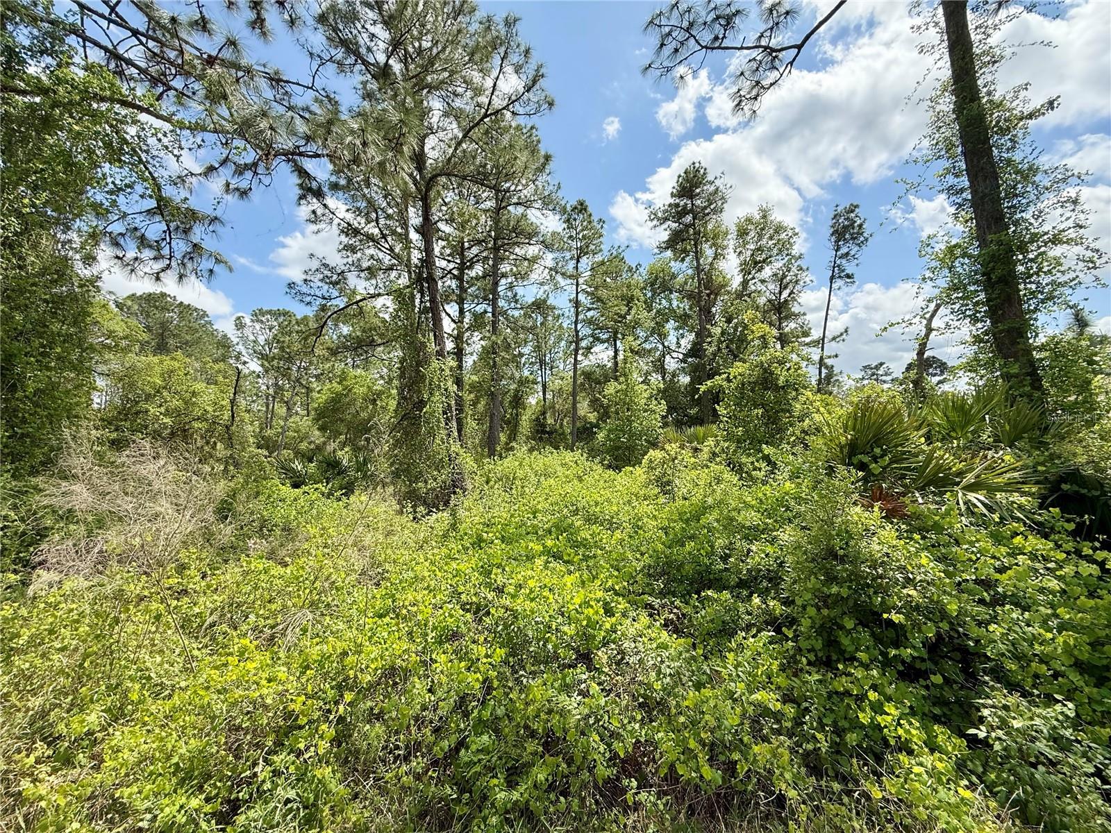 LOT 2 QUINCE AVE, EUSTIS, FL, 32736