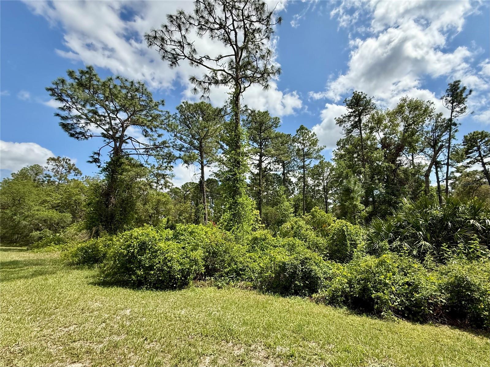 LOT 2 QUINCE AVE, EUSTIS, FL, 32736