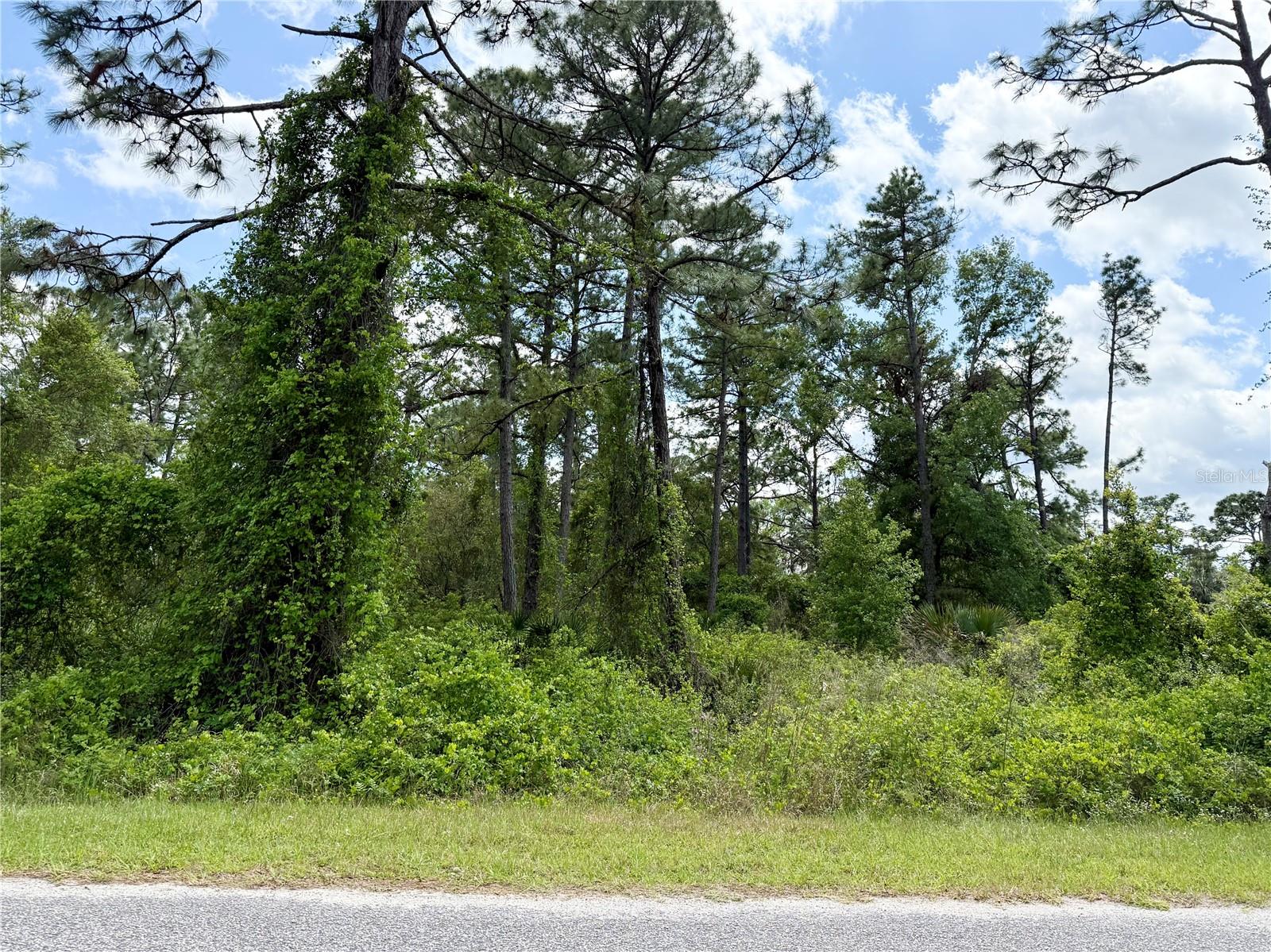 LOT 2 QUINCE AVE, EUSTIS, FL, 32736