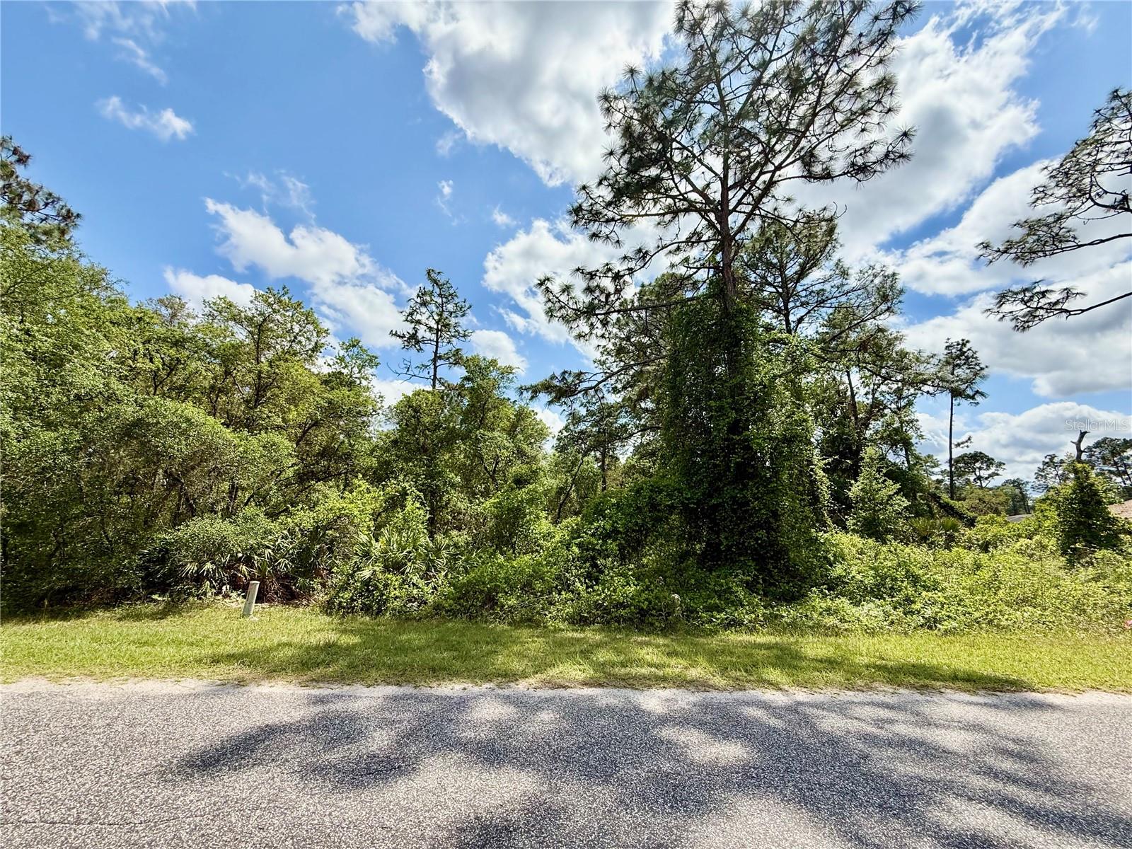 LOT 2 QUINCE AVE, EUSTIS, FL, 32736