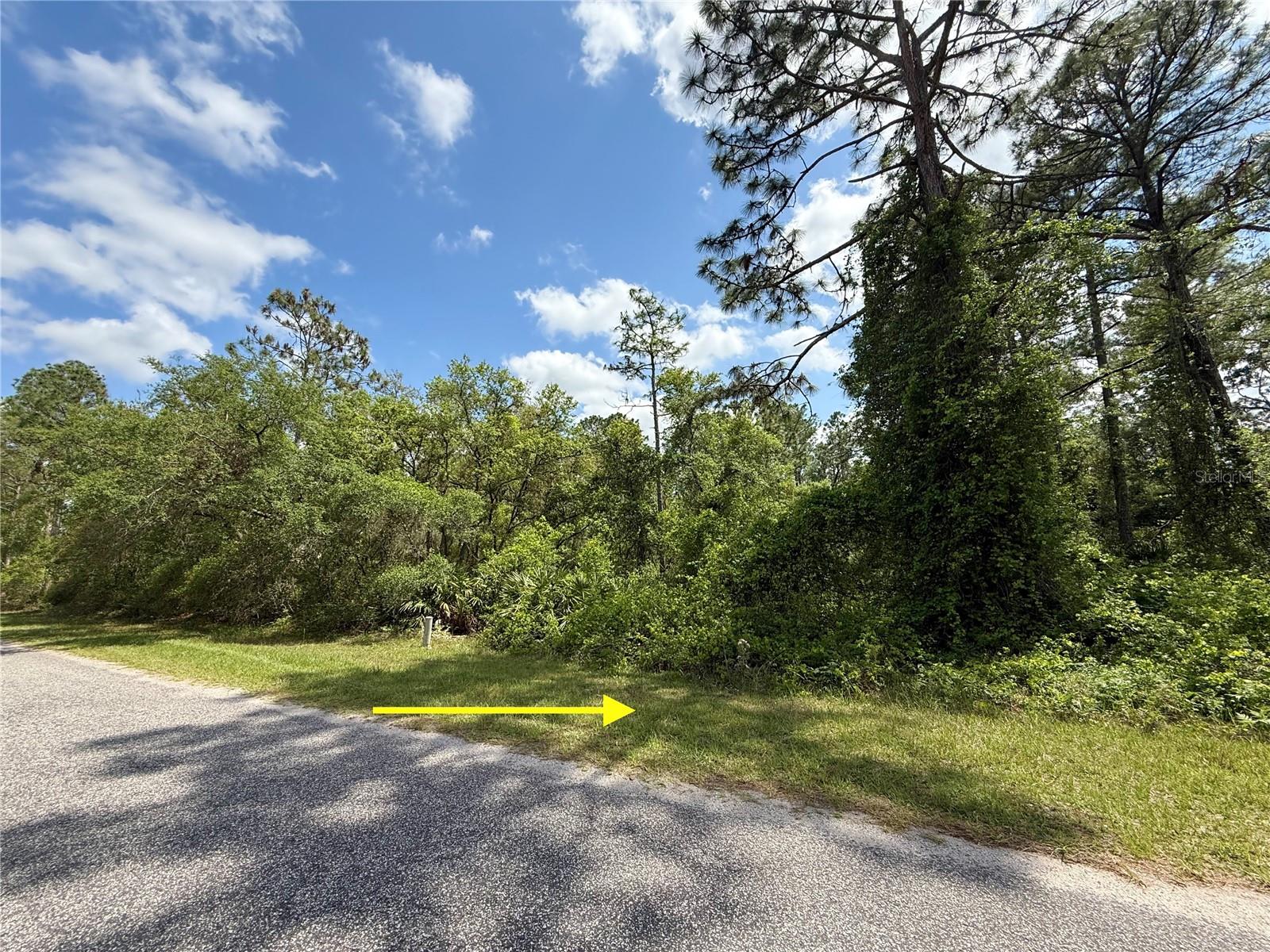 LOT 2 QUINCE AVE, EUSTIS, FL, 32736