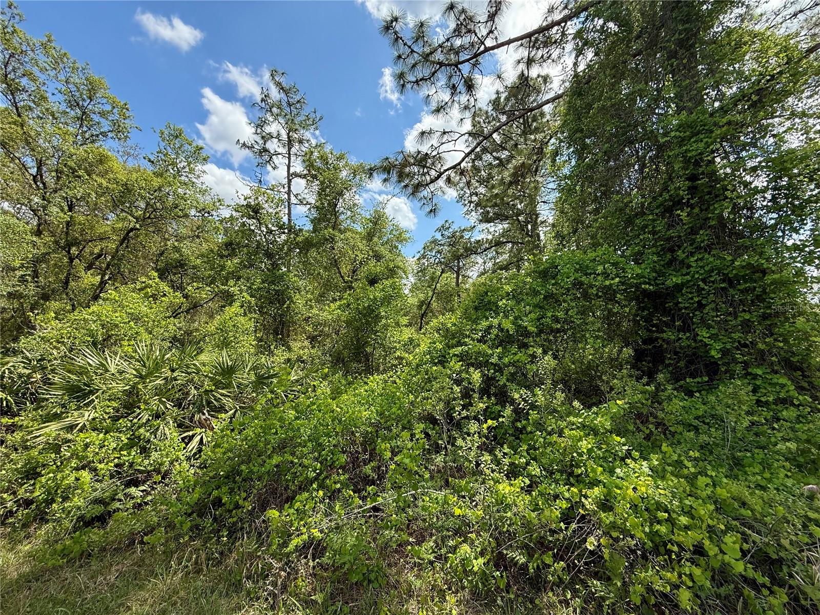 LOT 2 QUINCE AVE, EUSTIS, FL, 32736