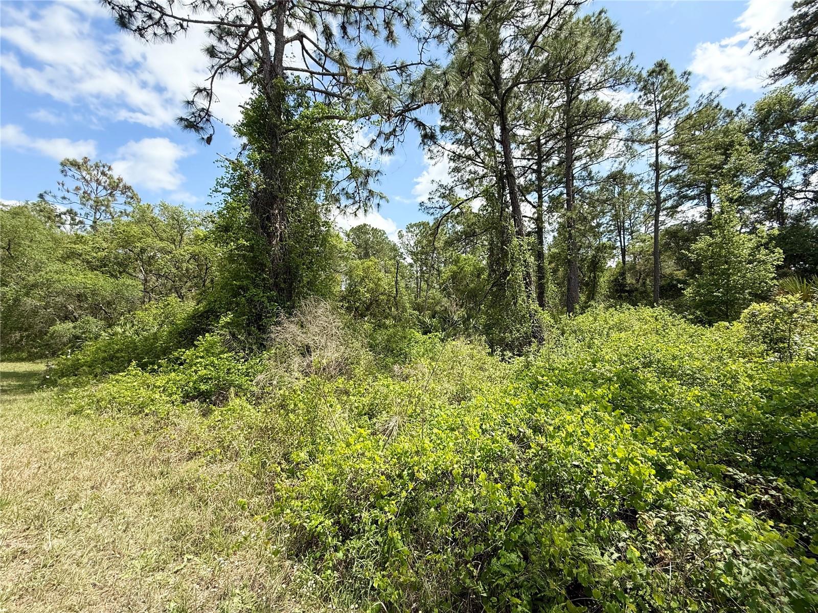 LOT 2 QUINCE AVE, EUSTIS, FL, 32736