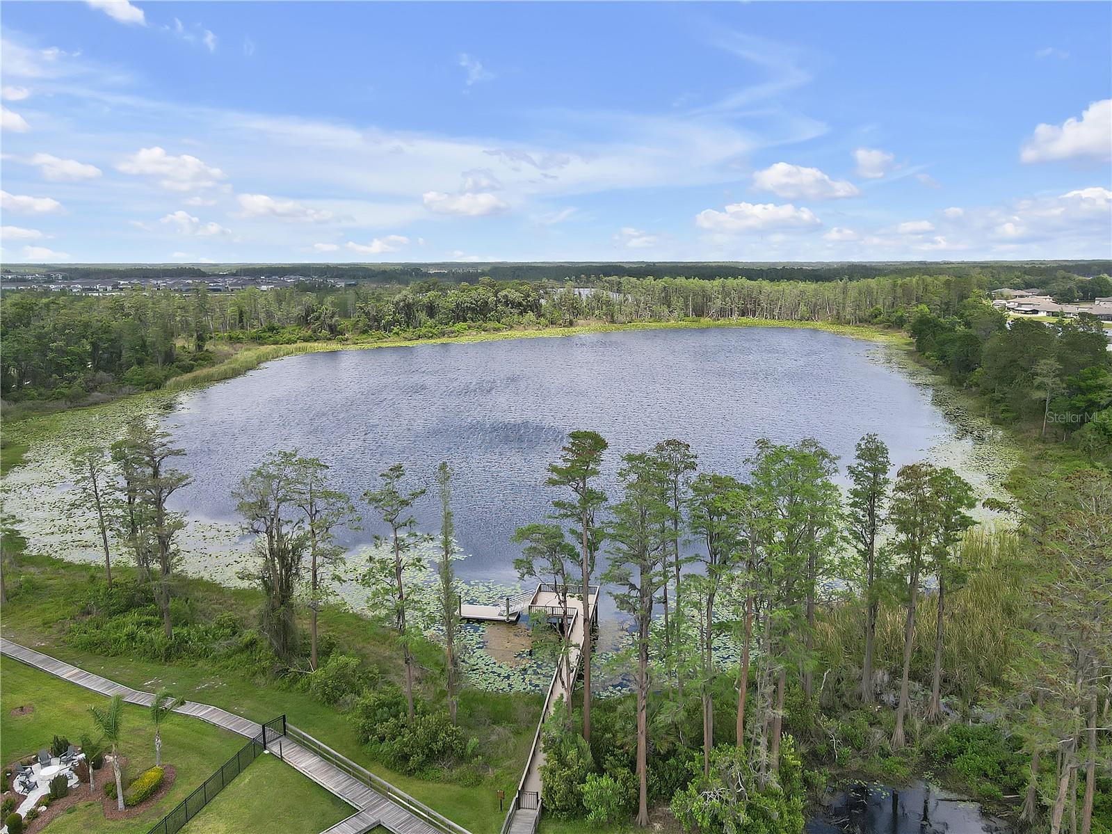 19926 STONE PINE CIR, LUTZ, FL, 33558