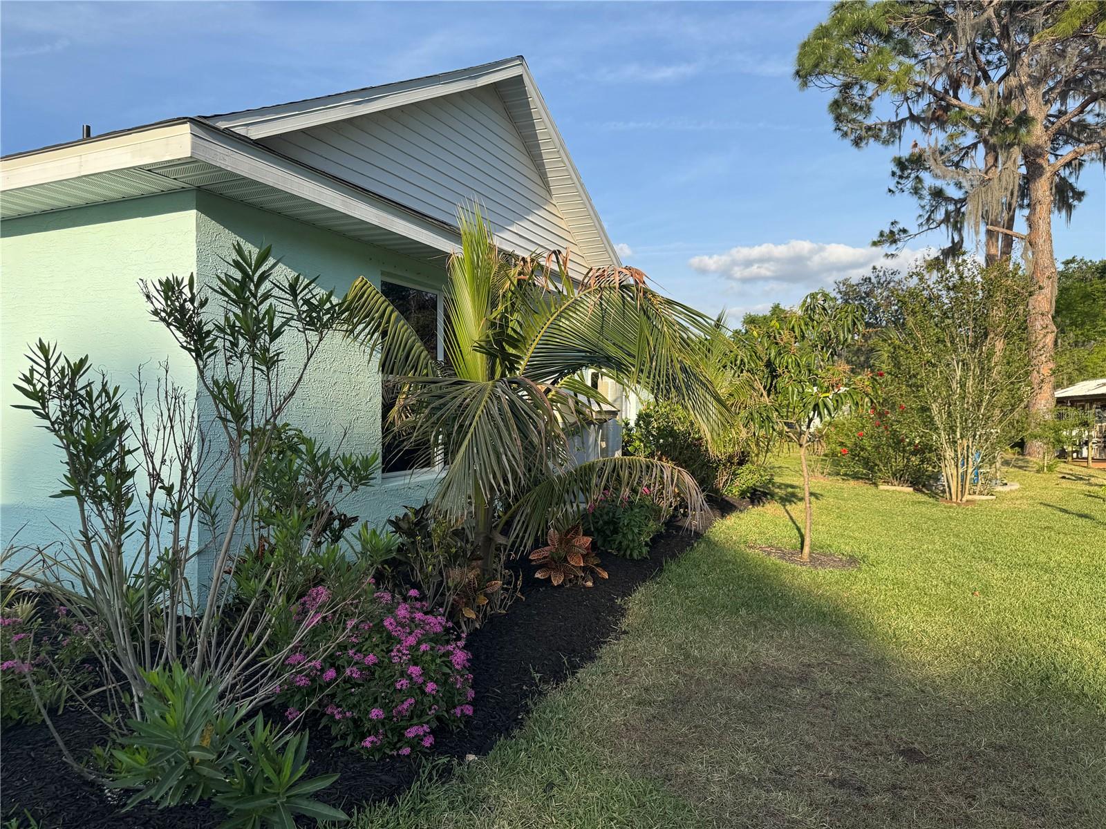 33635 JEFFERY CT, LEESBURG, FL, 34788