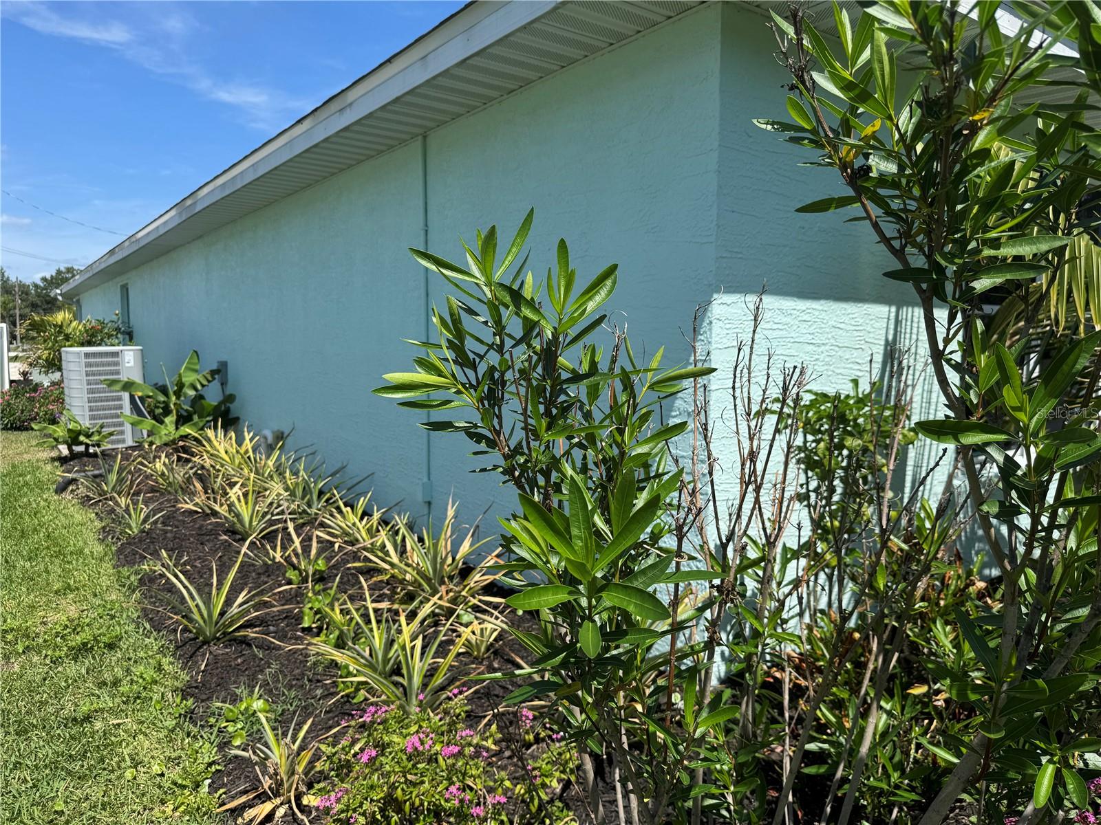 33635 JEFFERY CT, LEESBURG, FL, 34788