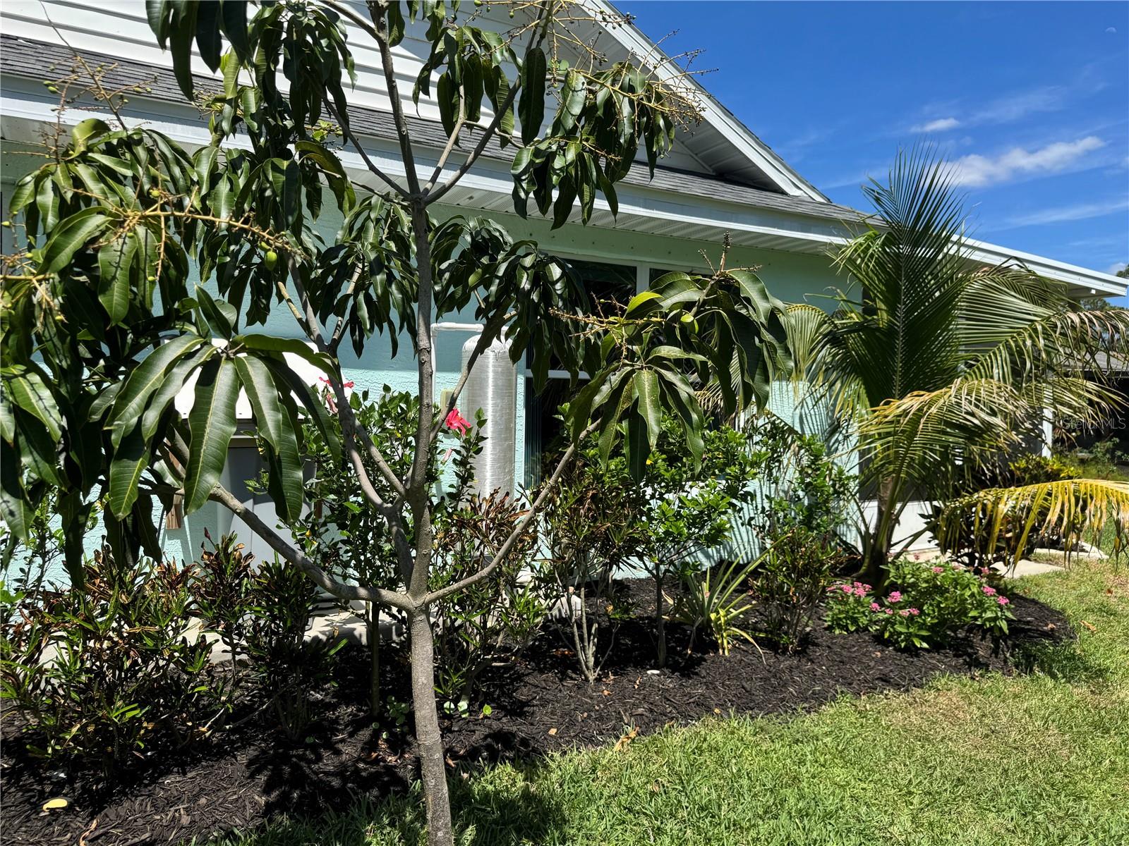 33635 JEFFERY CT, LEESBURG, FL, 34788