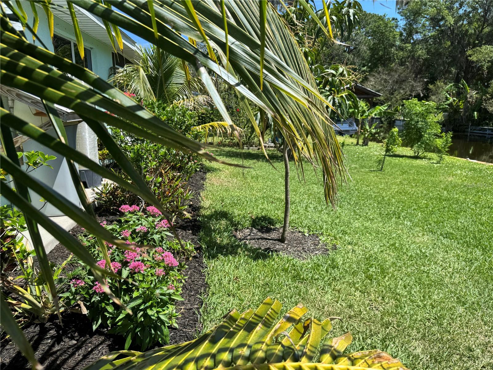 33635 JEFFERY CT, LEESBURG, FL, 34788