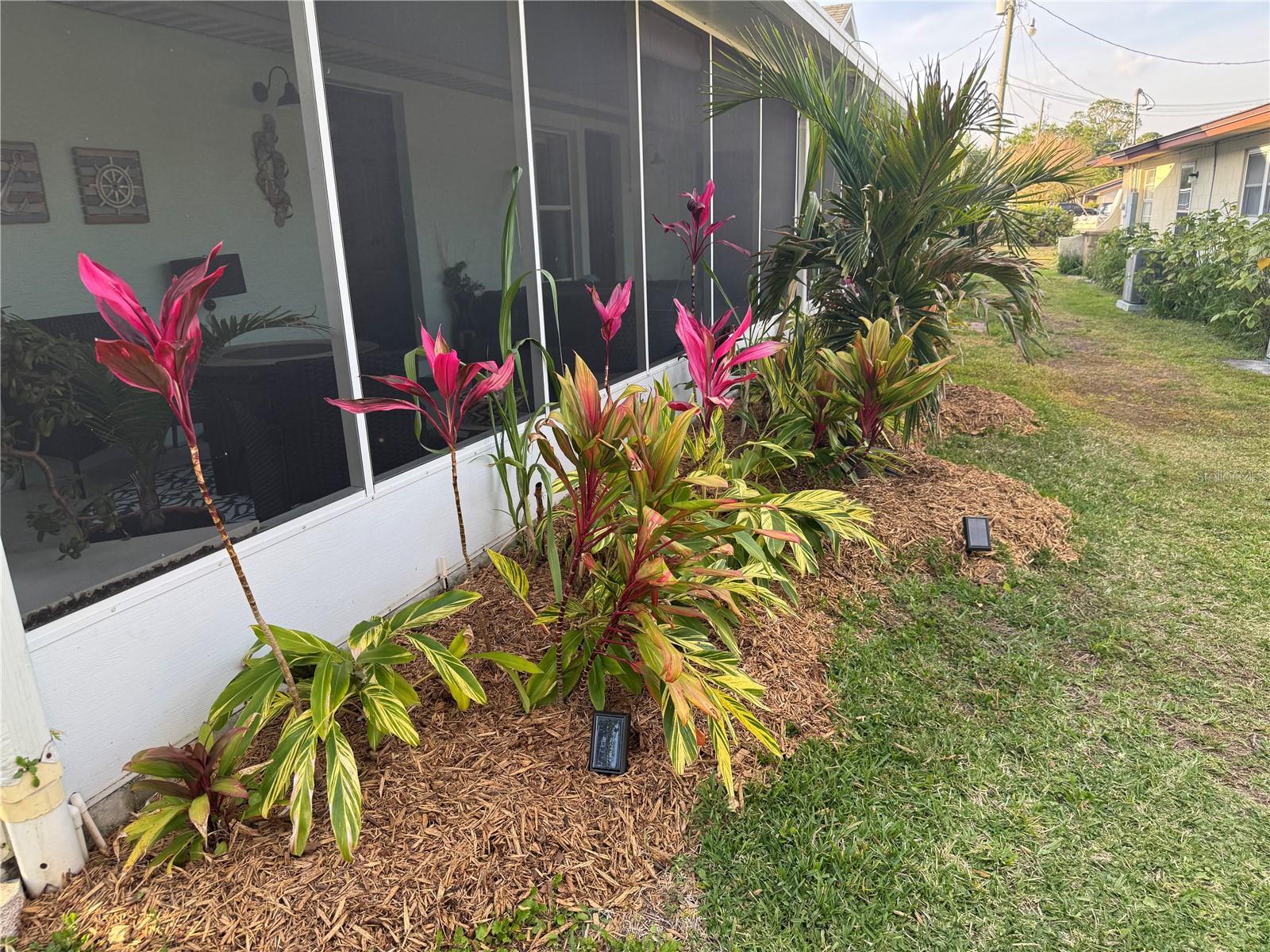 33635 JEFFERY CT, LEESBURG, FL, 34788