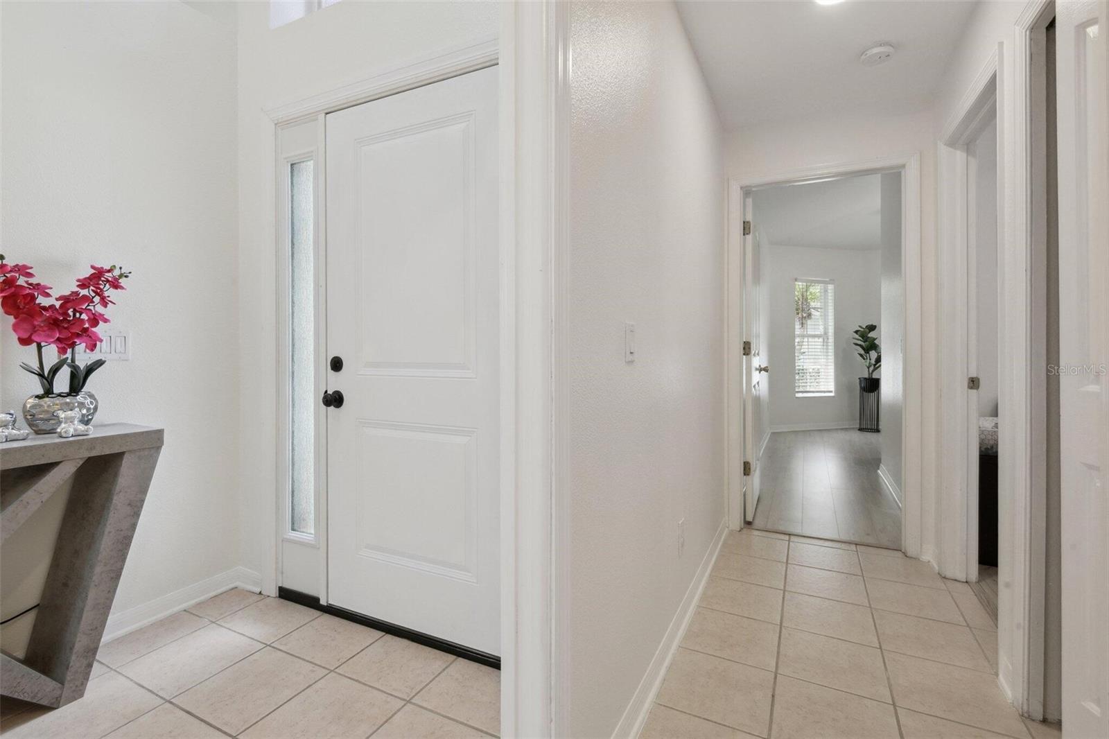 13405 FAWN SPRINGS DR, TAMPA, FL, 33626