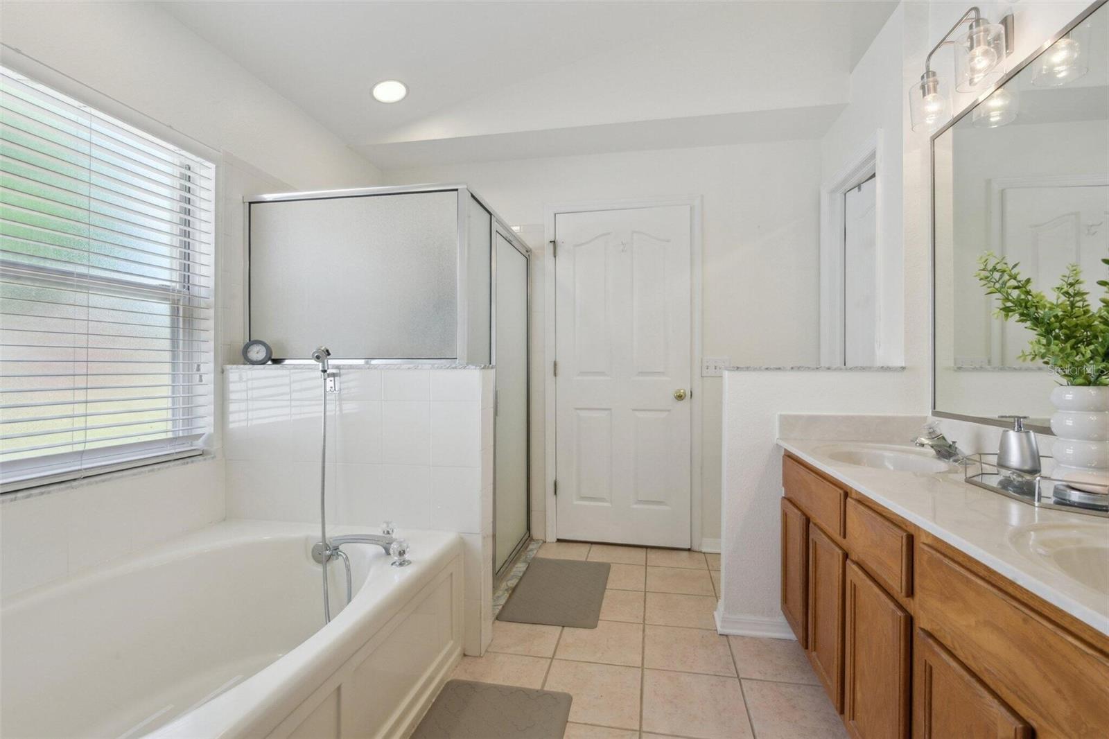 13405 FAWN SPRINGS DR, TAMPA, FL, 33626