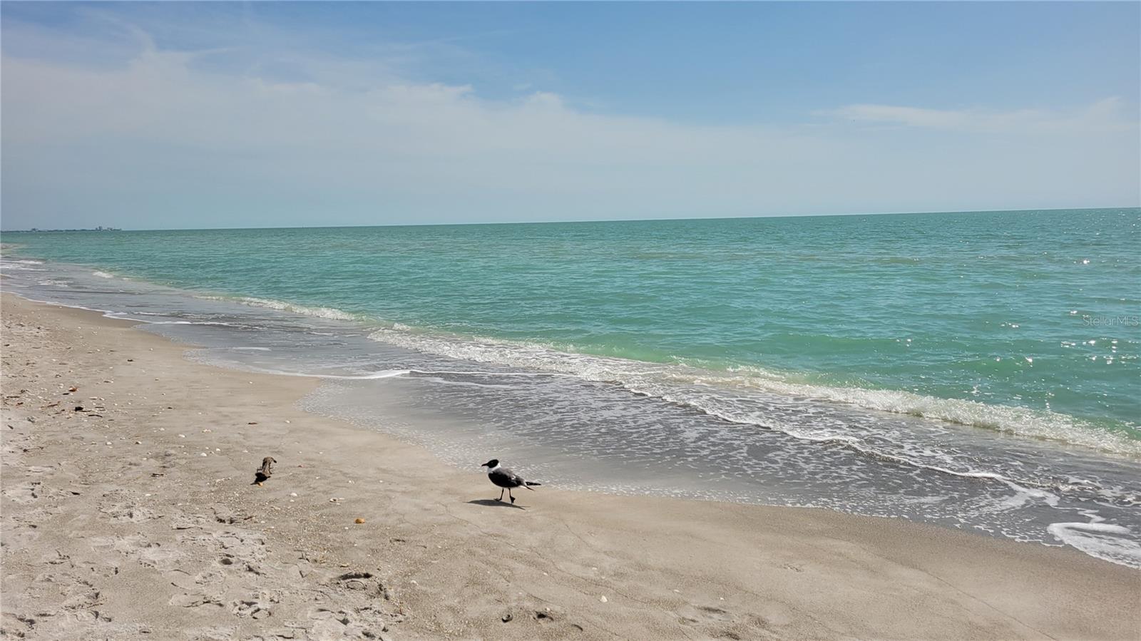 2339 HARBOUR OAKS DR, LONGBOAT KEY, FL, 34228