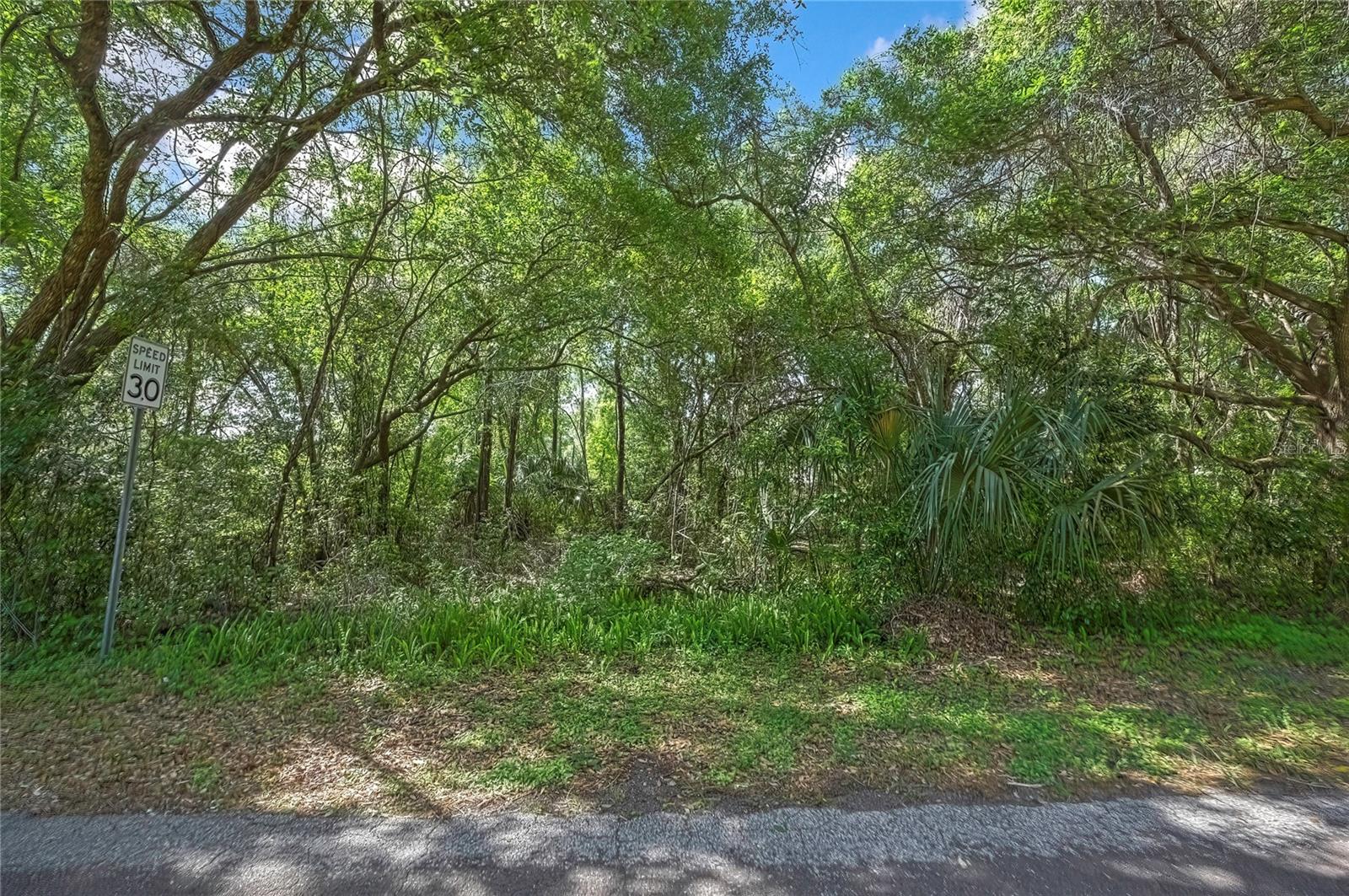 6424 E MALVERNE ST, INVERNESS, FL, 34452