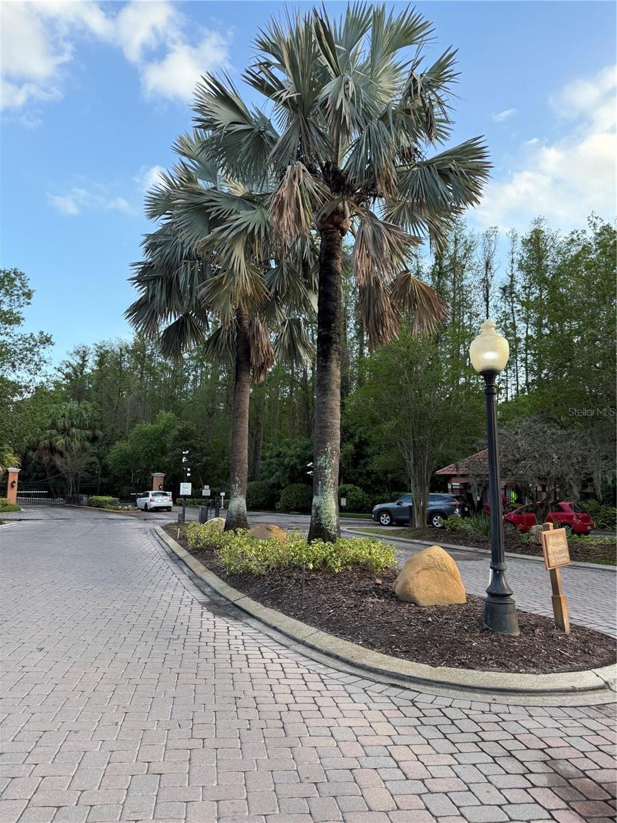 5120 CONROY RD #523, ORLANDO, FL, 32811