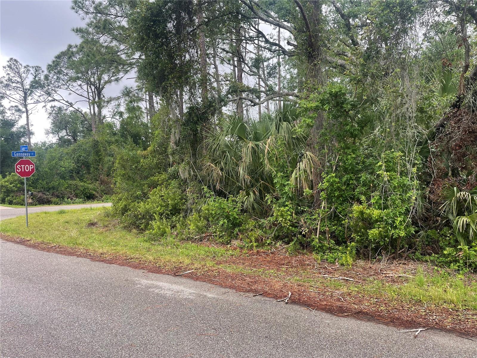 GAGER AVE, NORTH PORT, FL, 34291