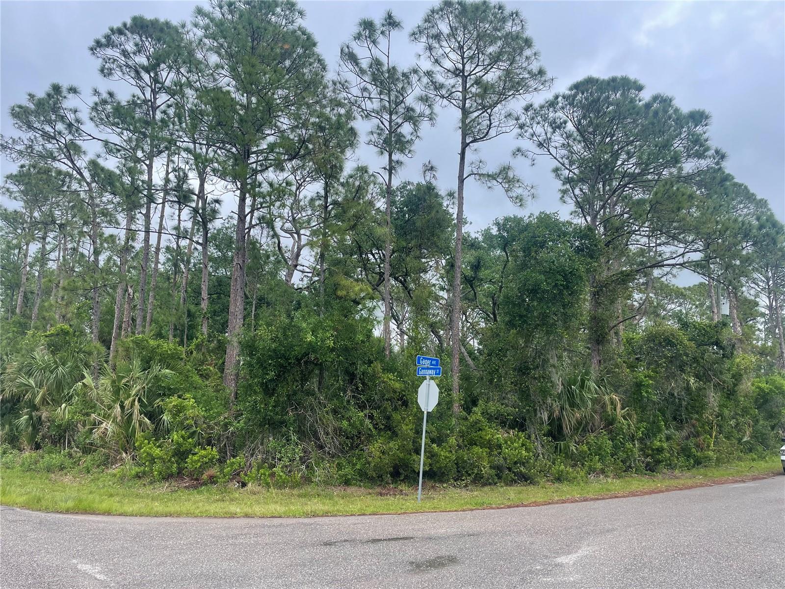 GAGER AVE, NORTH PORT, FL, 34291