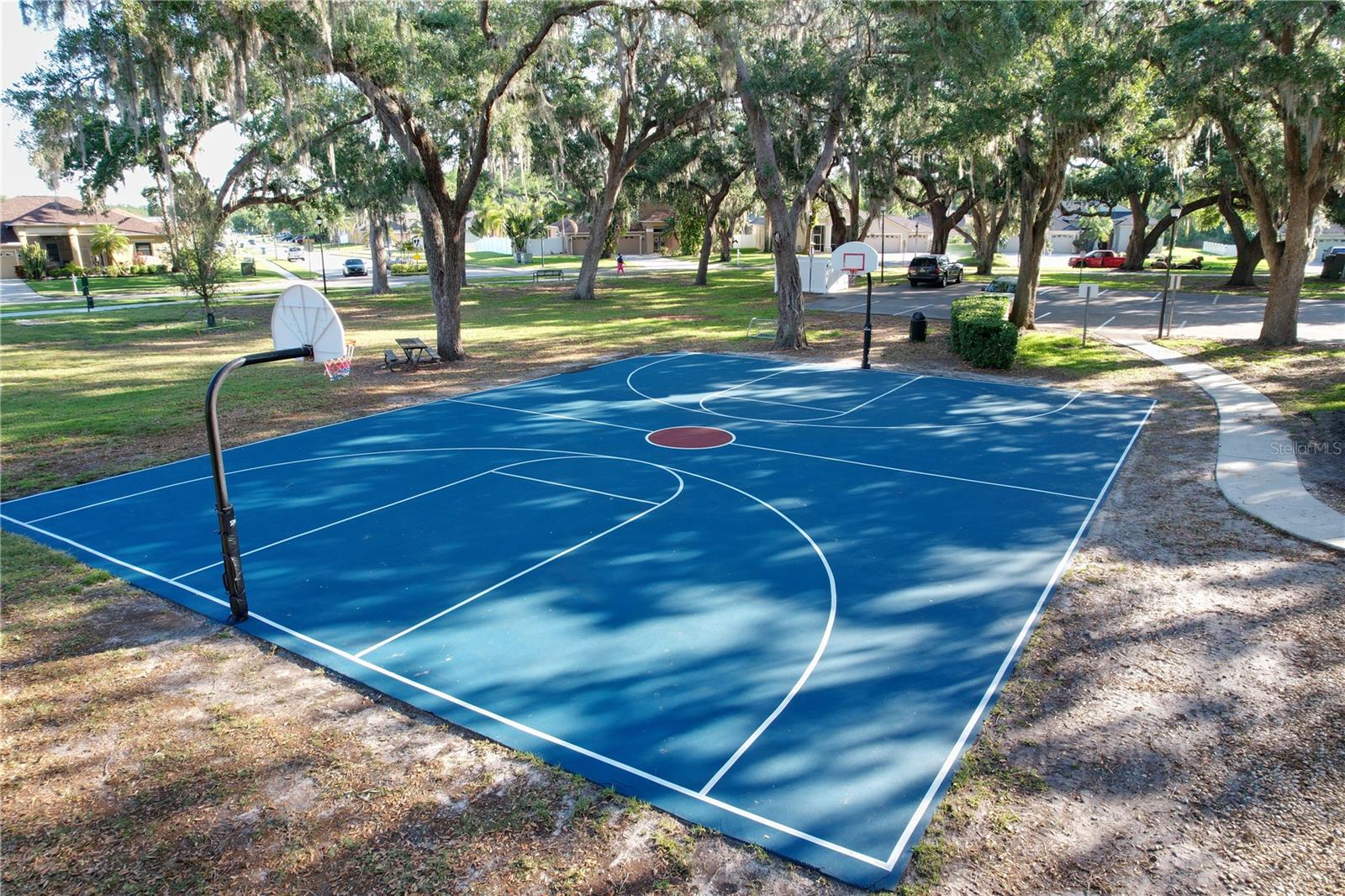 25317 CONESTOGA DR, LAND O LAKES, FL, 34639