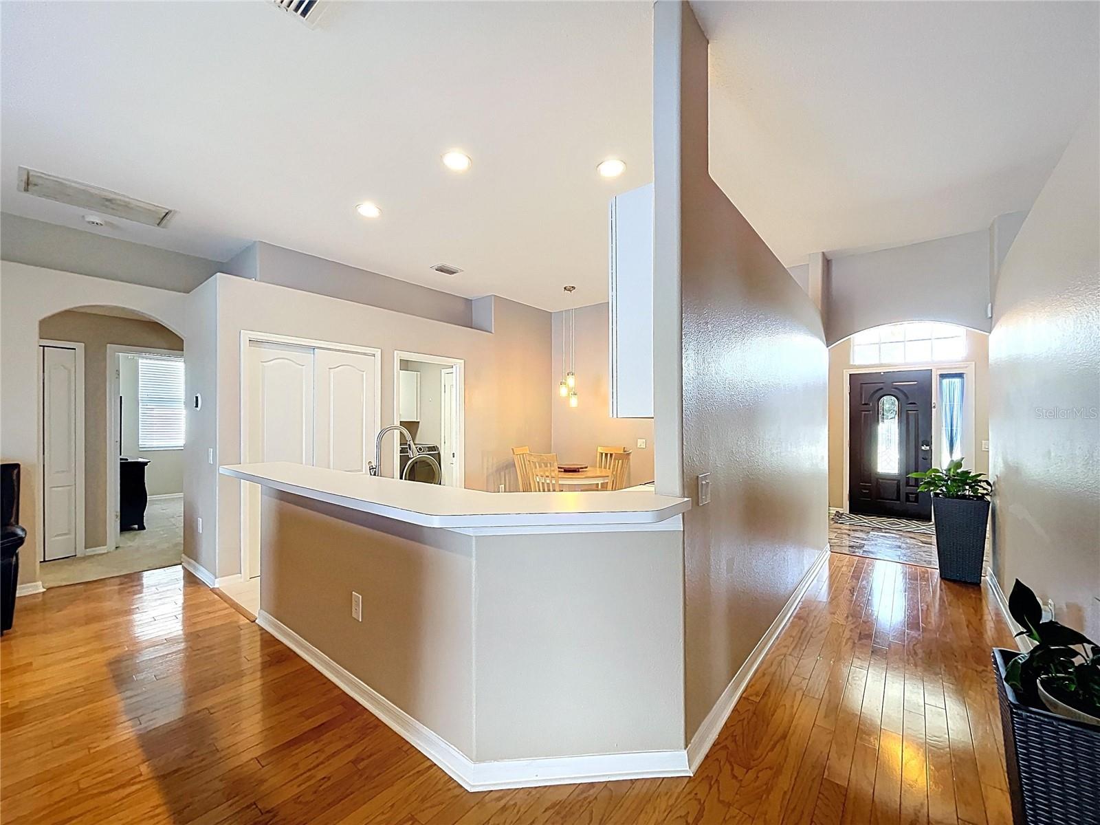 25317 CONESTOGA DR, LAND O LAKES, FL, 34639