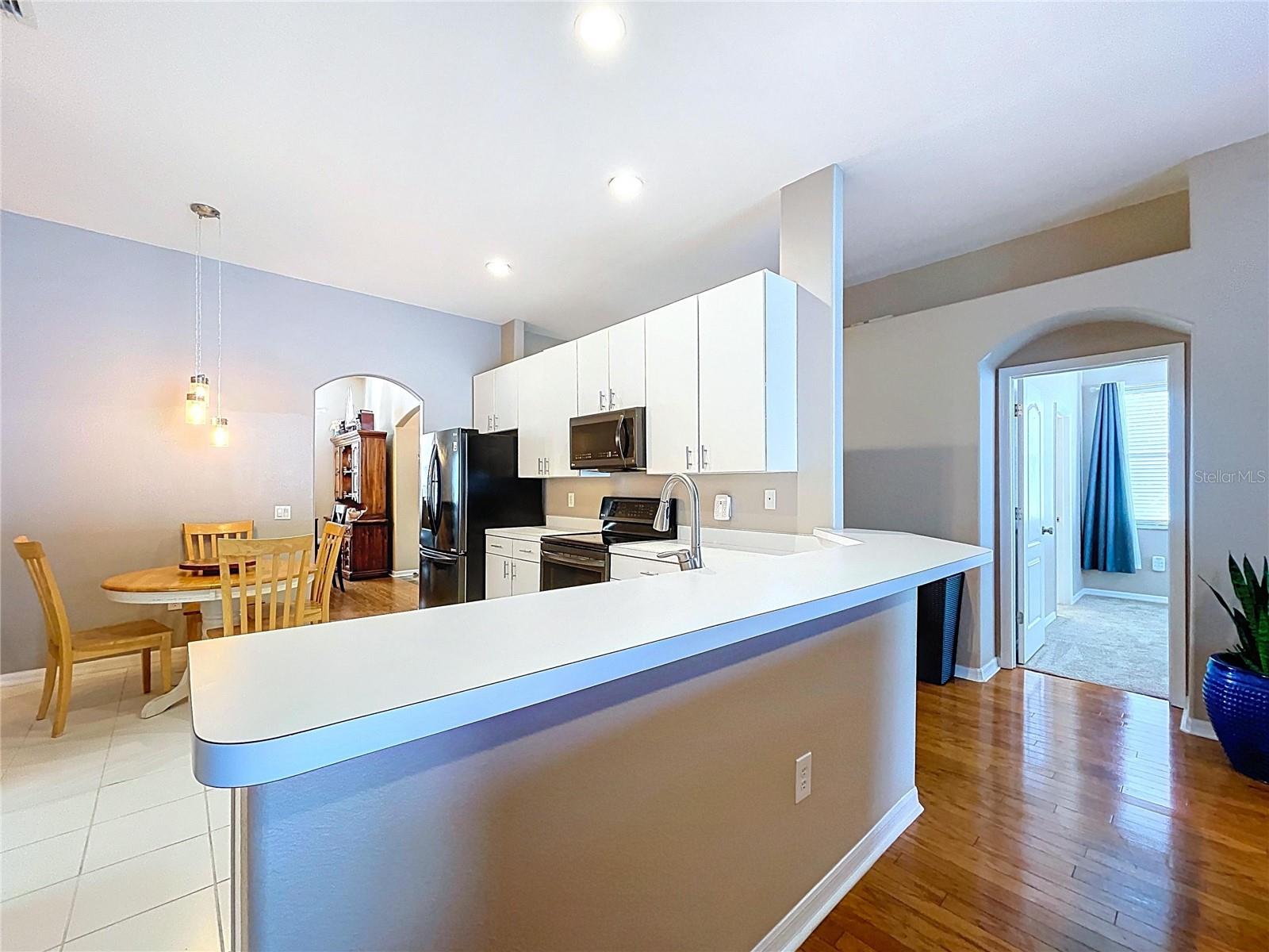 25317 CONESTOGA DR, LAND O LAKES, FL, 34639