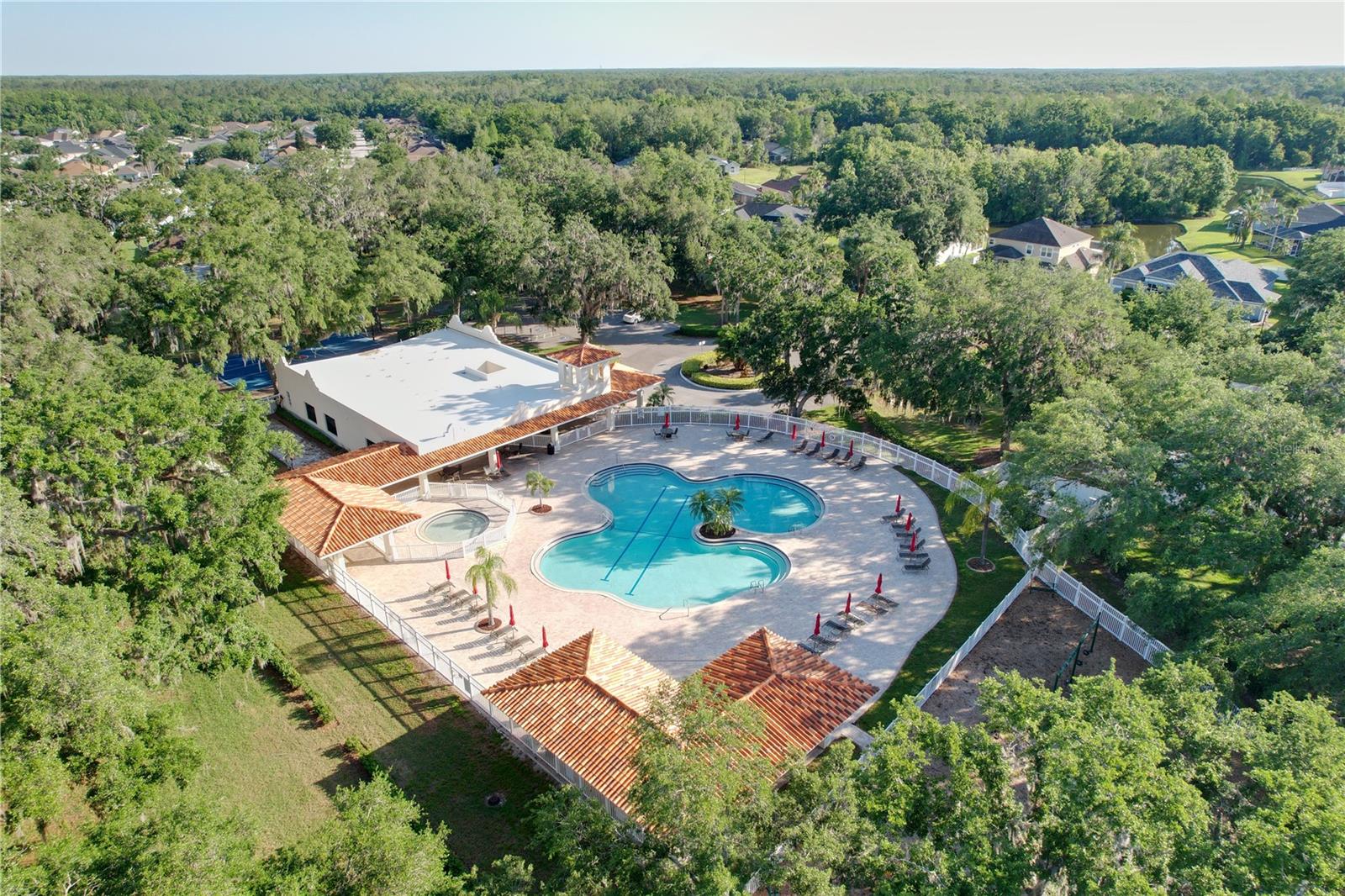 25317 CONESTOGA DR, LAND O LAKES, FL, 34639