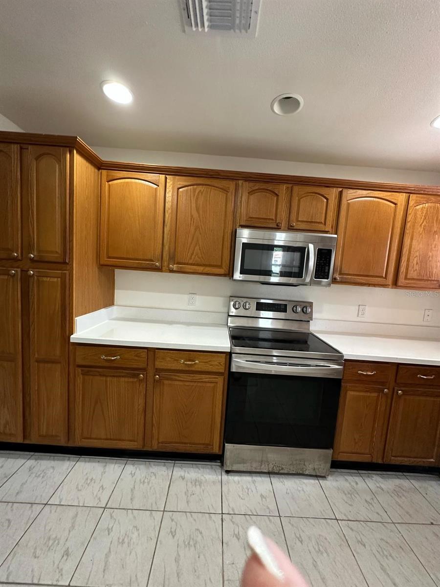 243 MINNESOTA WOODS LN, ORLANDO, FL, 32824