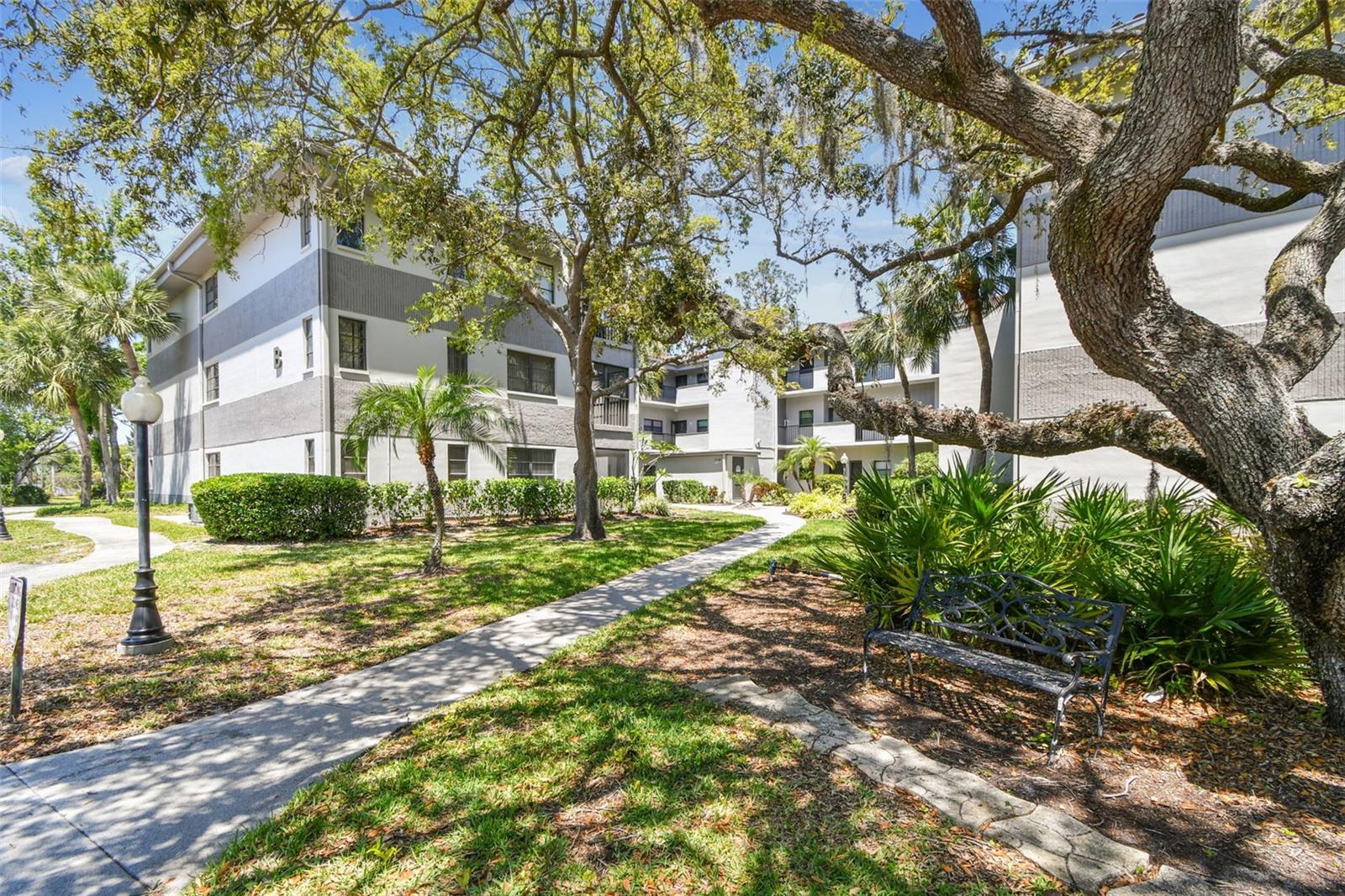 2650 COUNTRYSIDE BLVD #B-110, CLEARWATER, FL, 33761