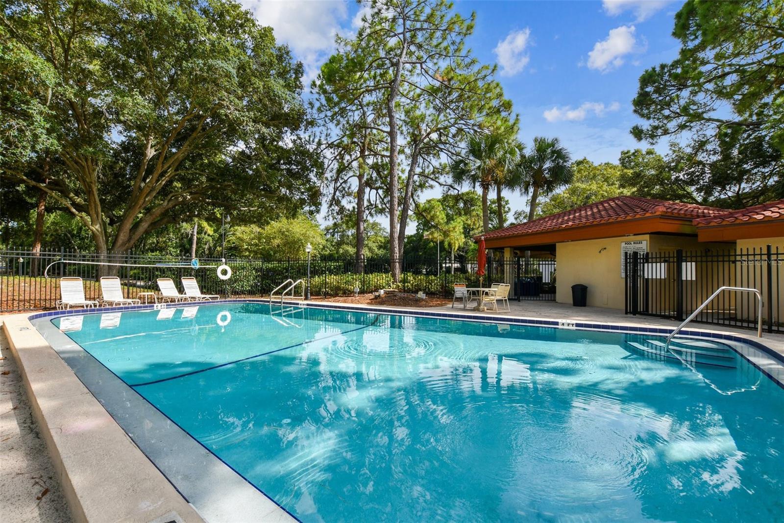 2650 COUNTRYSIDE BLVD #B-110, CLEARWATER, FL, 33761