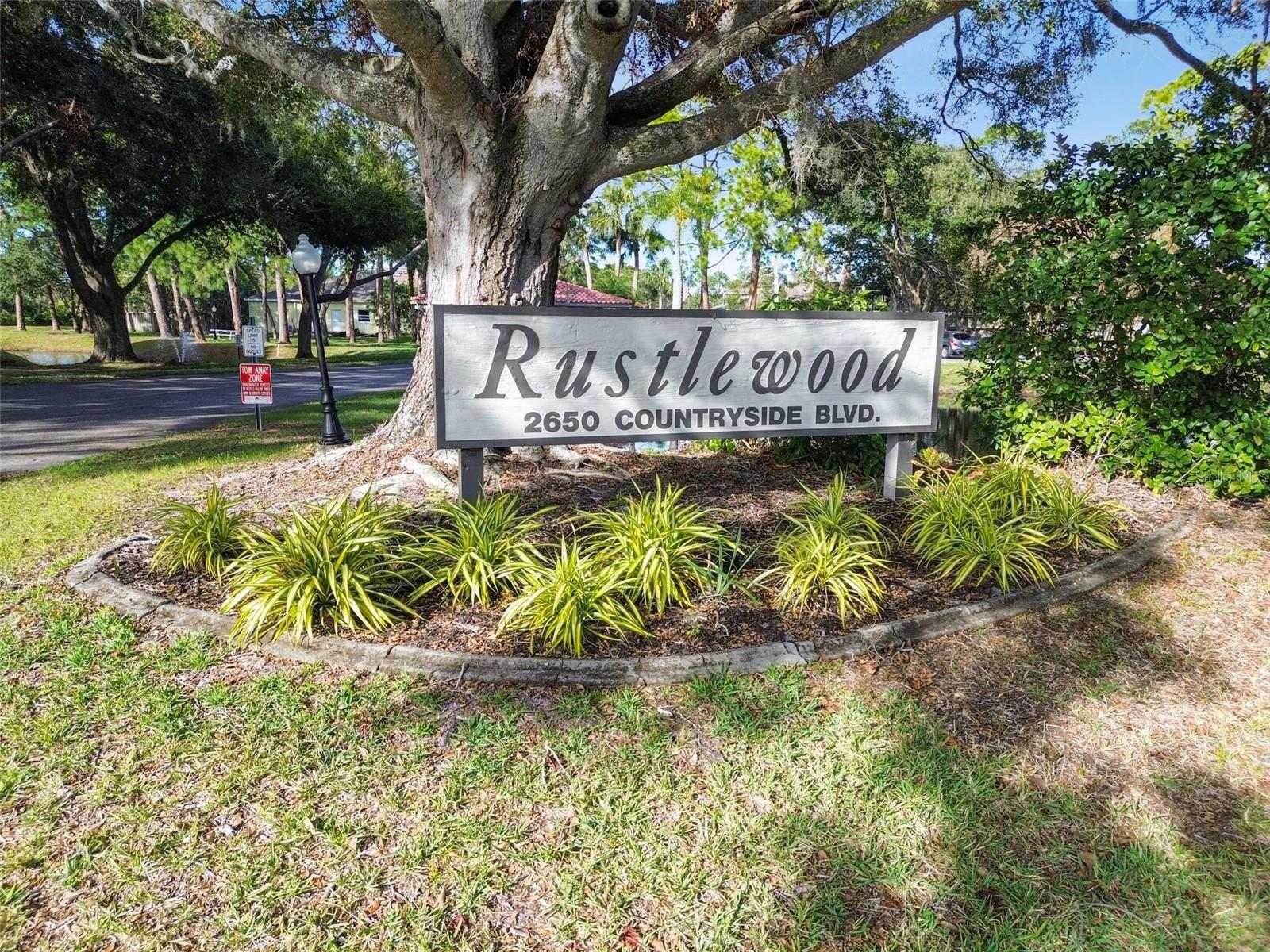 2650 COUNTRYSIDE BLVD #B-110, CLEARWATER, FL, 33761