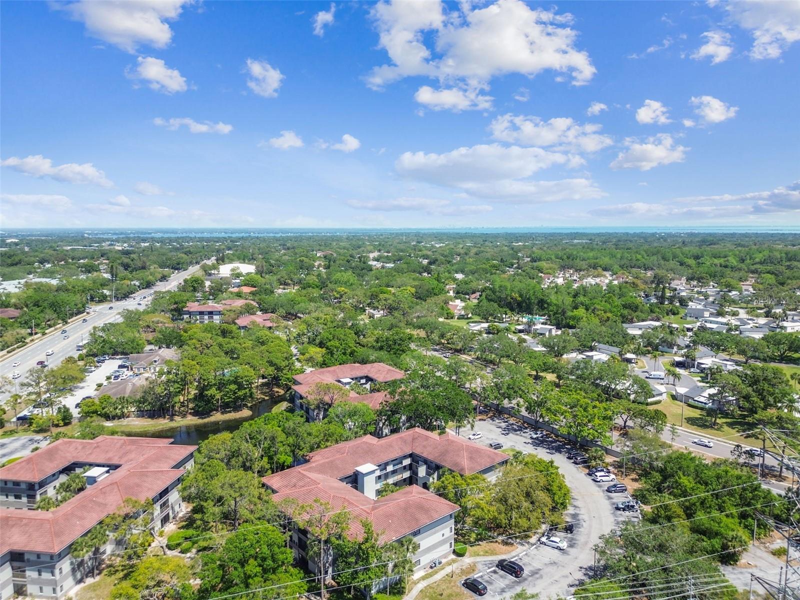 2650 COUNTRYSIDE BLVD #B-110, CLEARWATER, FL, 33761