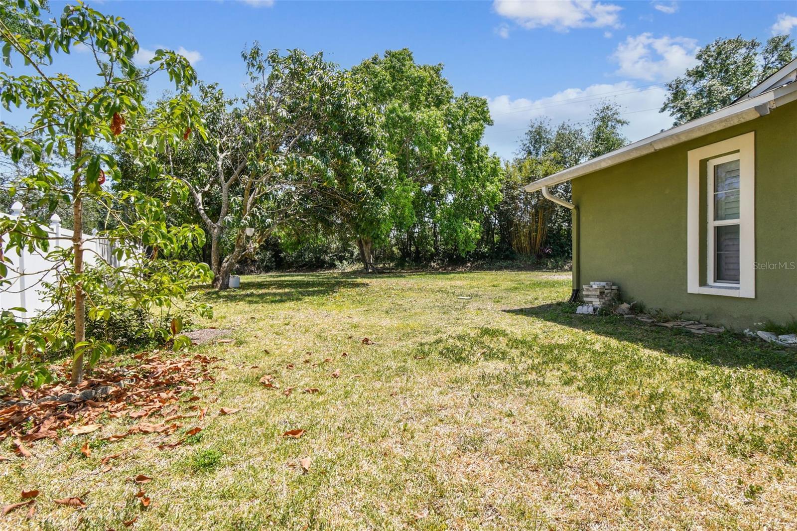 4161 ROLLING SPRINGS DR, TAMPA, FL, 33624