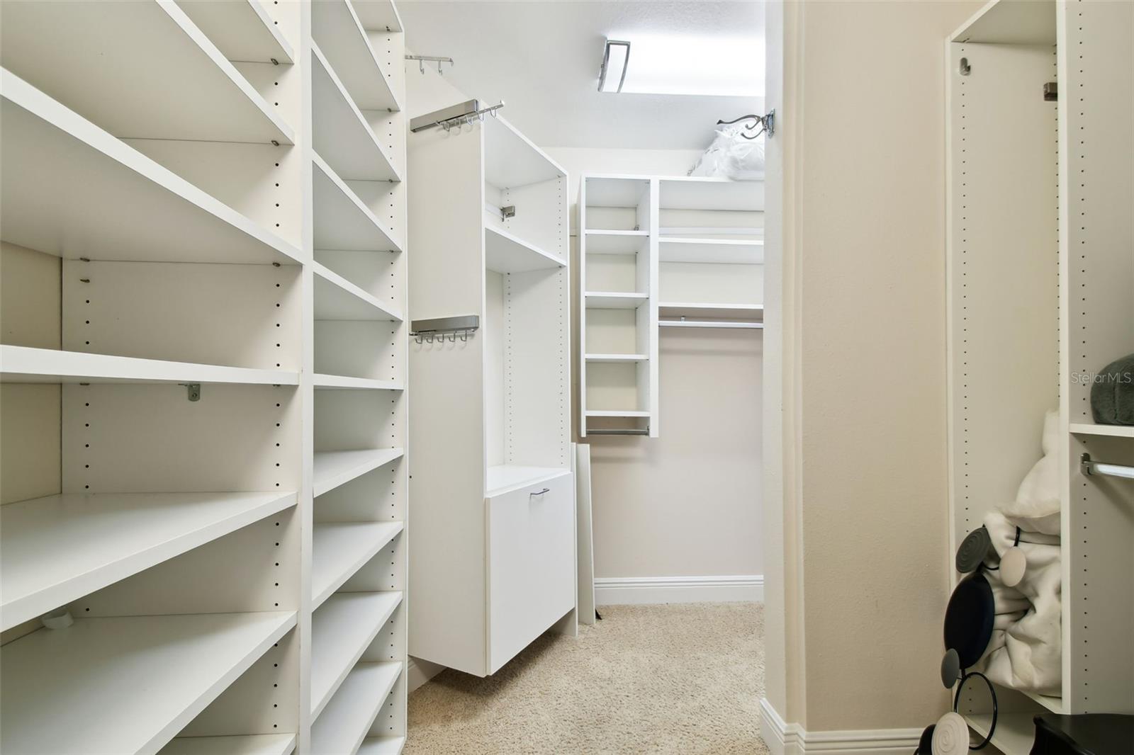 4161 ROLLING SPRINGS DR, TAMPA, FL, 33624