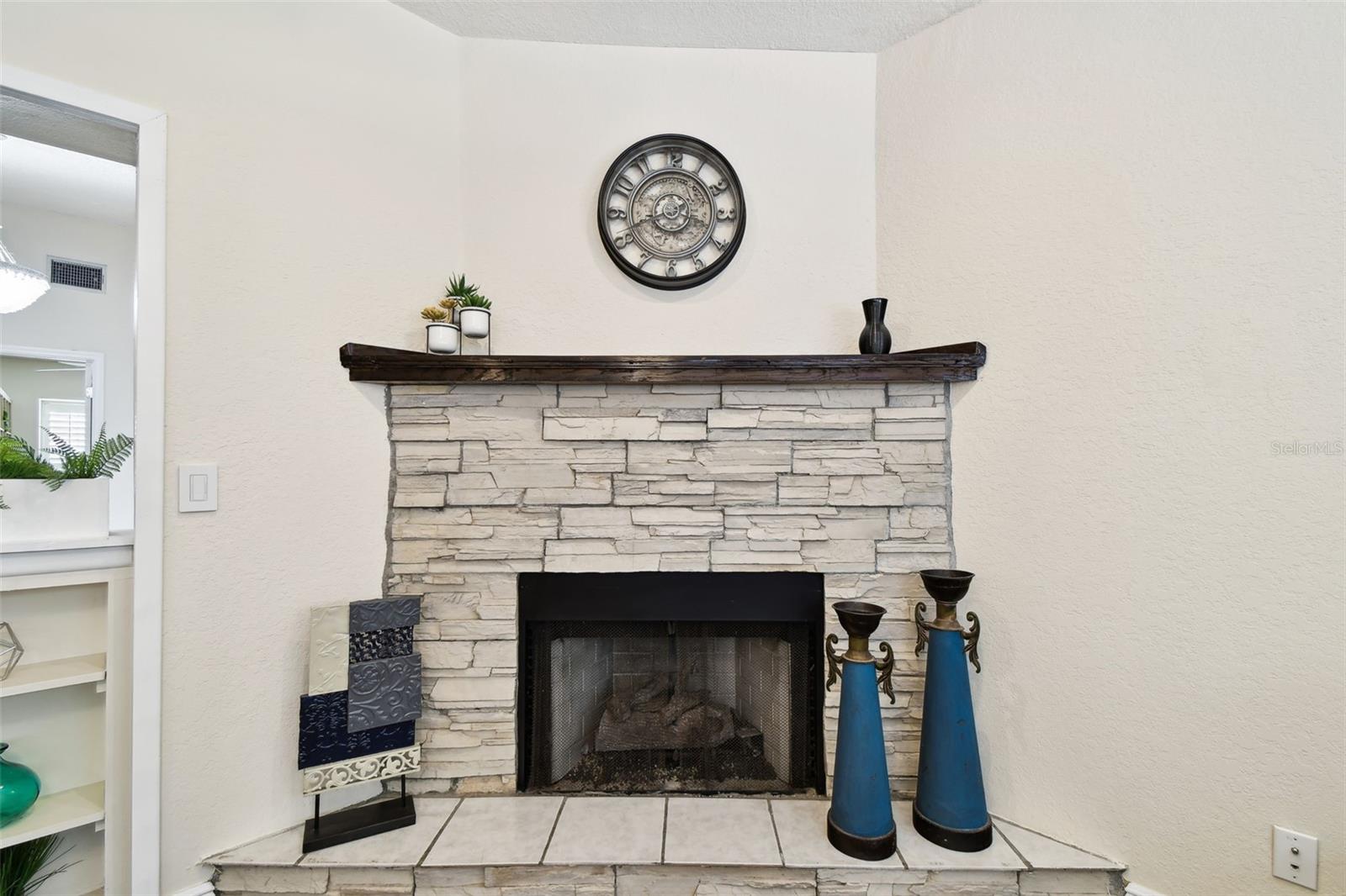 4161 ROLLING SPRINGS DR, TAMPA, FL, 33624