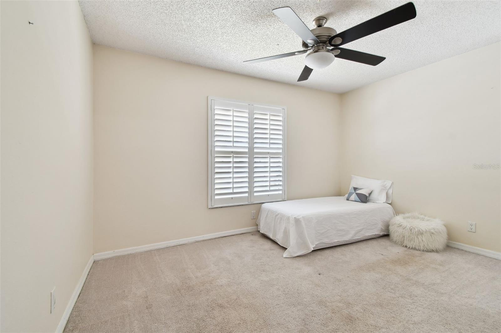 4161 ROLLING SPRINGS DR, TAMPA, FL, 33624