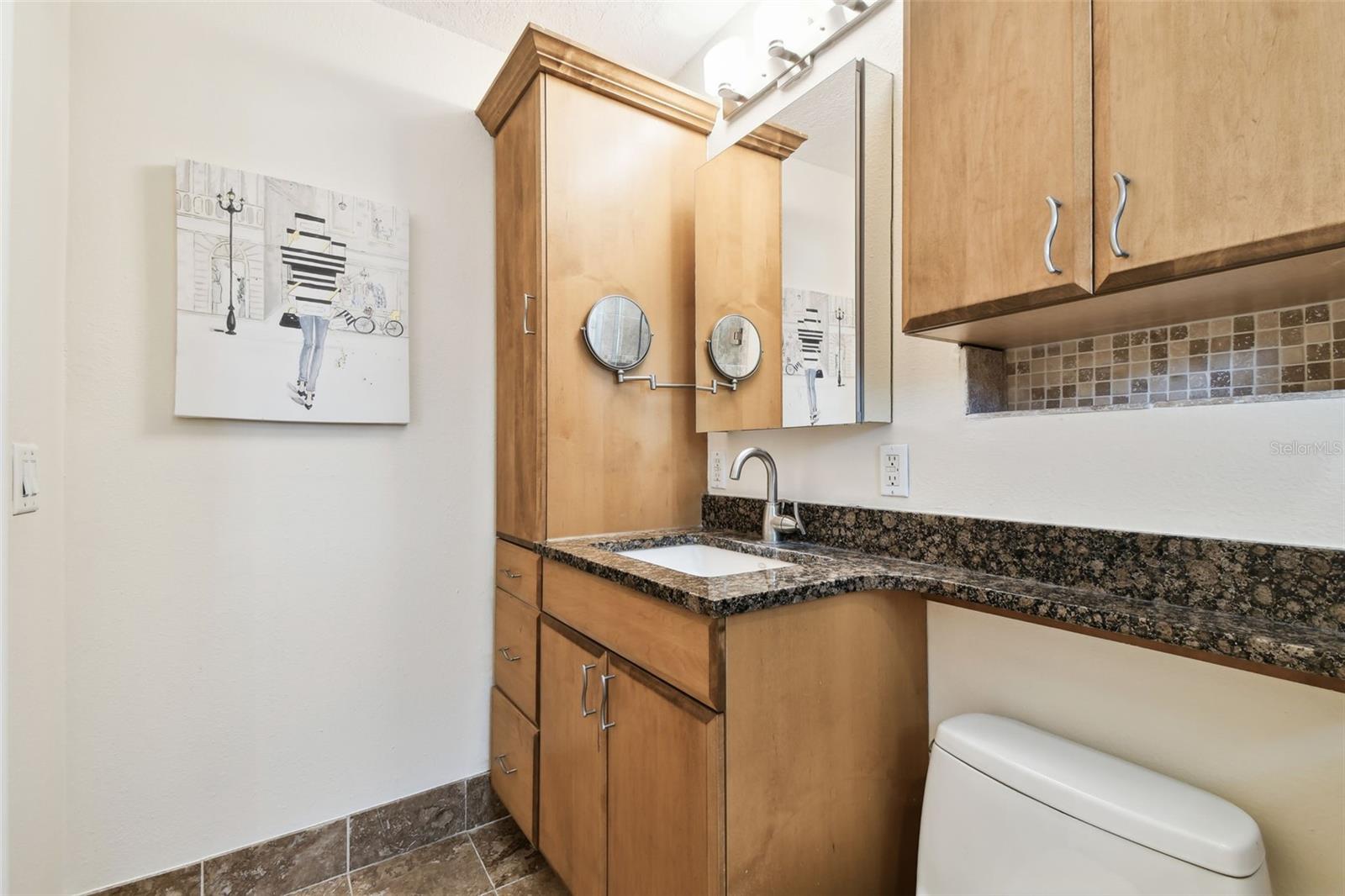 4161 ROLLING SPRINGS DR, TAMPA, FL, 33624