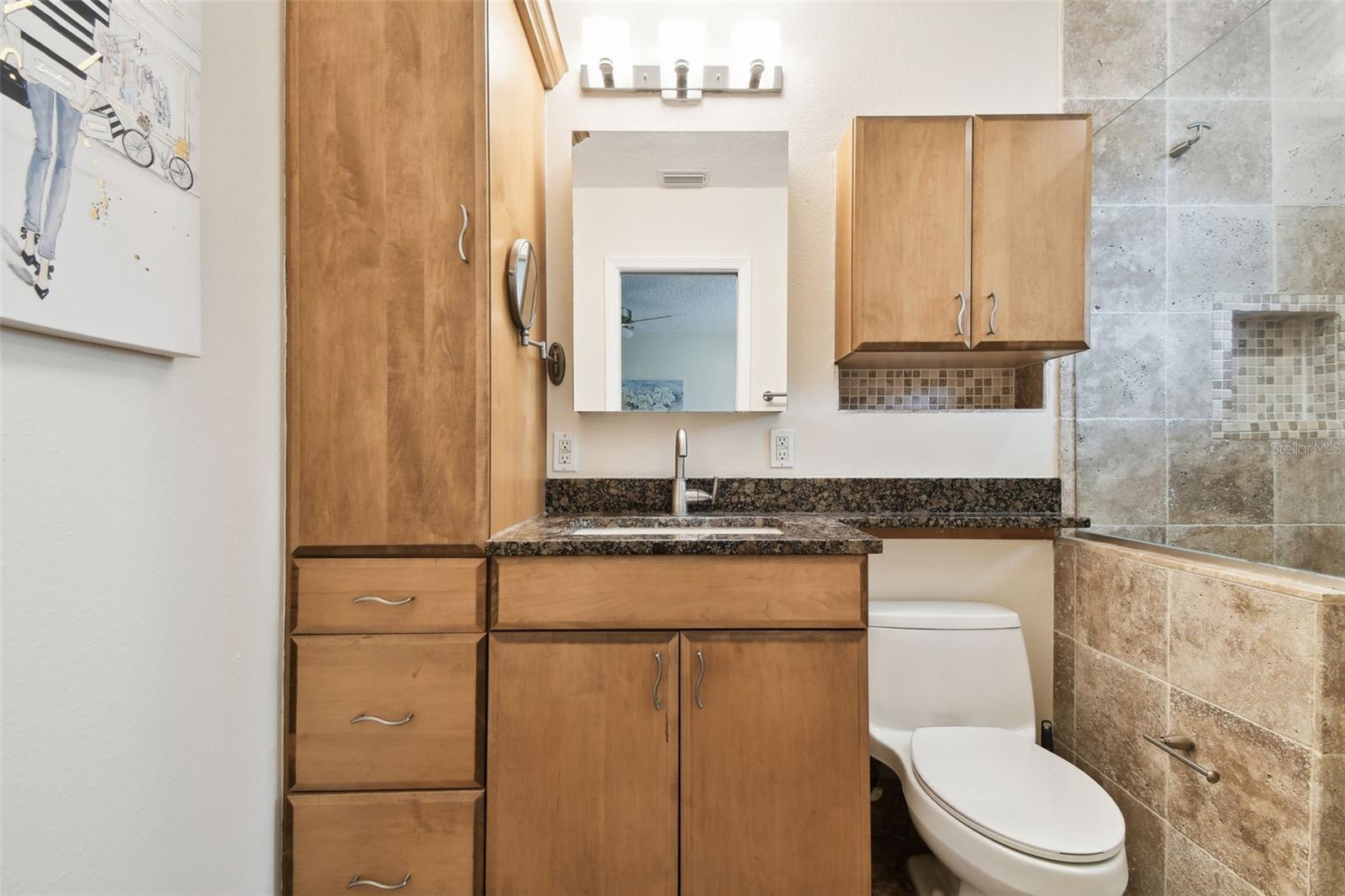 4161 ROLLING SPRINGS DR, TAMPA, FL, 33624